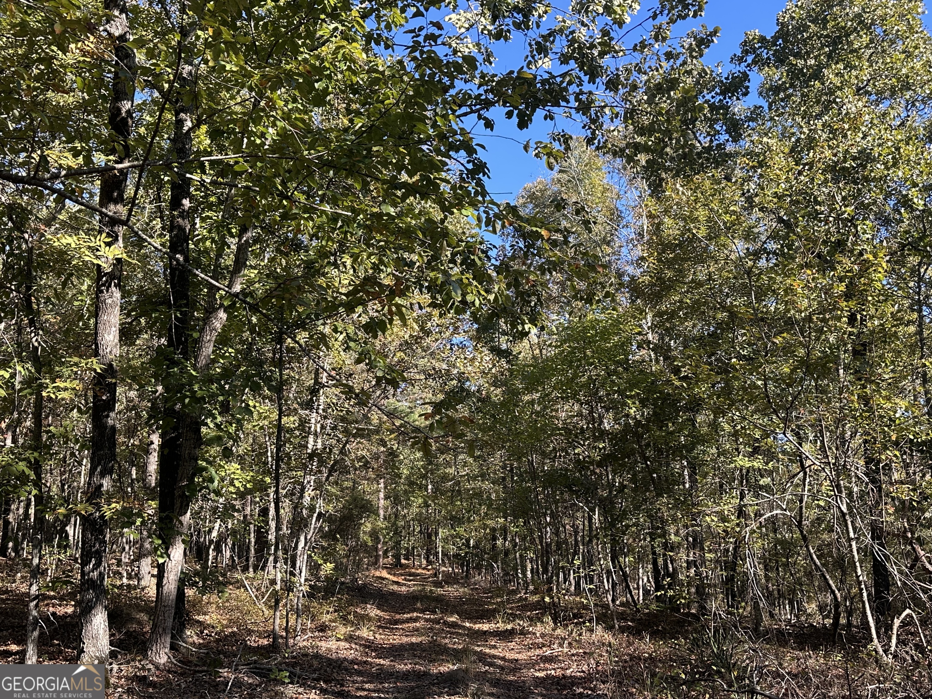 0 Hamp Smith Road Thomaston GA 30286
