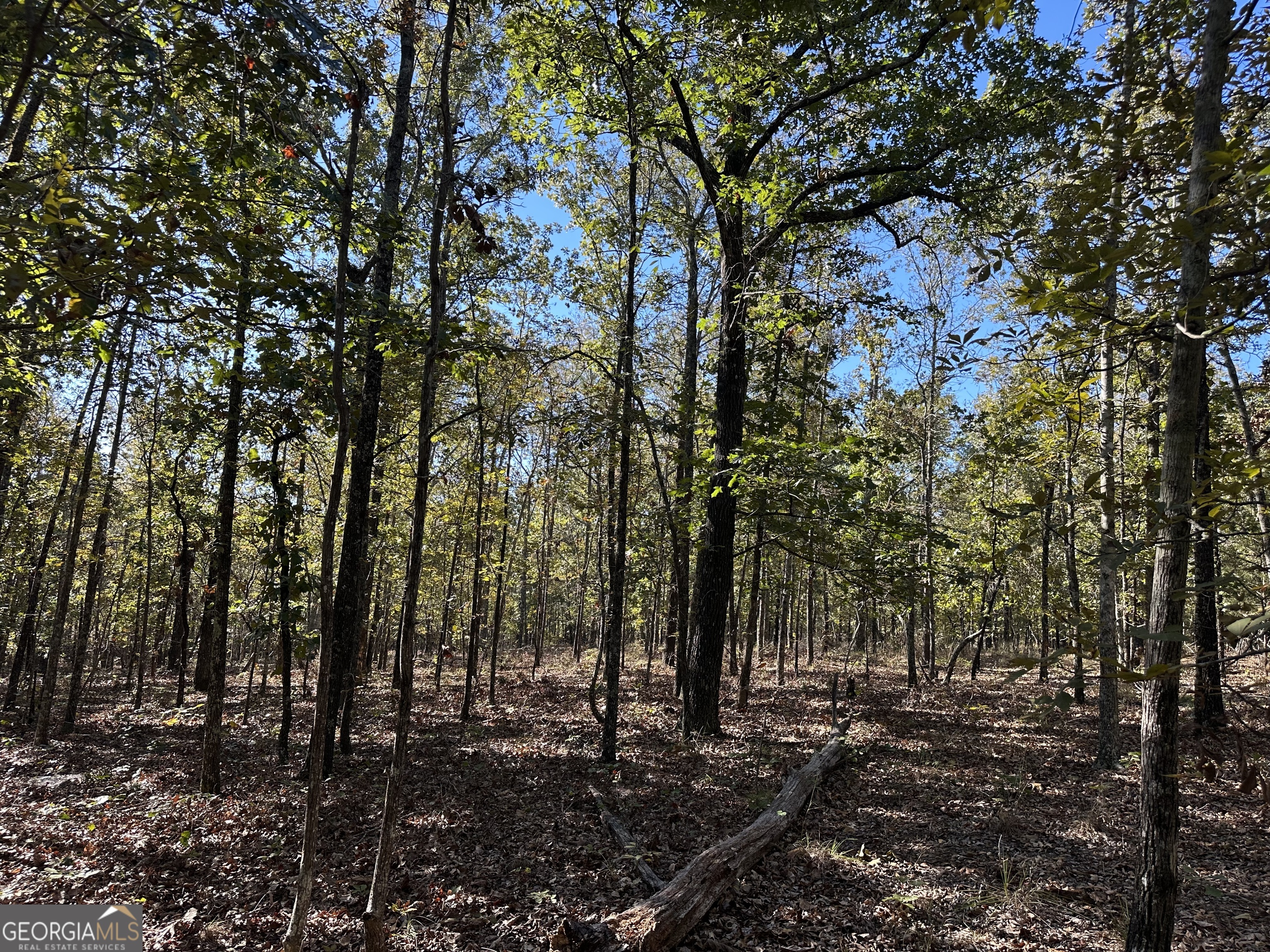 0 Hamp Smith Road Thomaston GA 30286