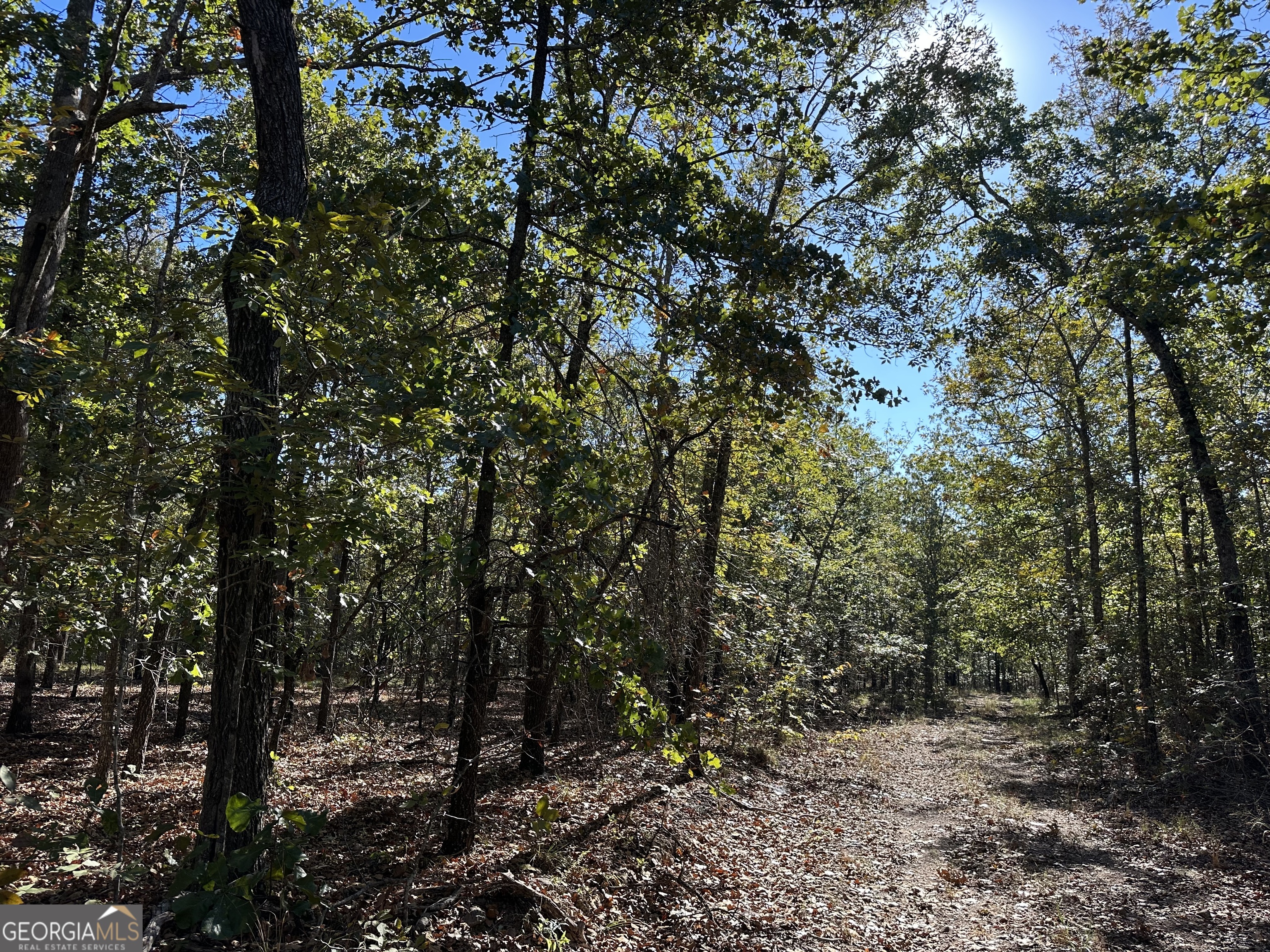 0 Hamp Smith Road Thomaston GA 30286