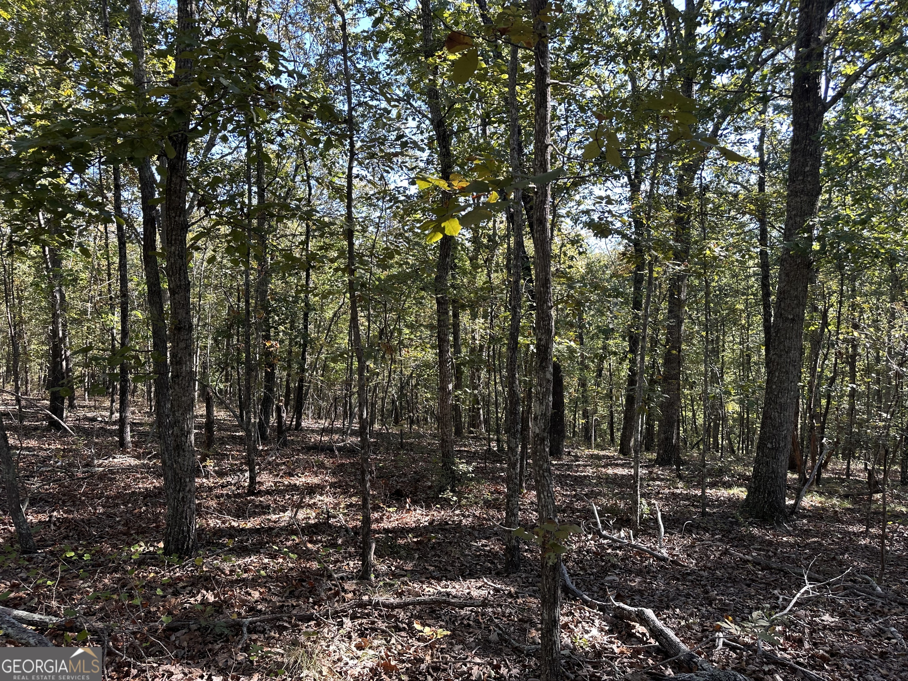 0 Hamp Smith Road Thomaston GA 30286