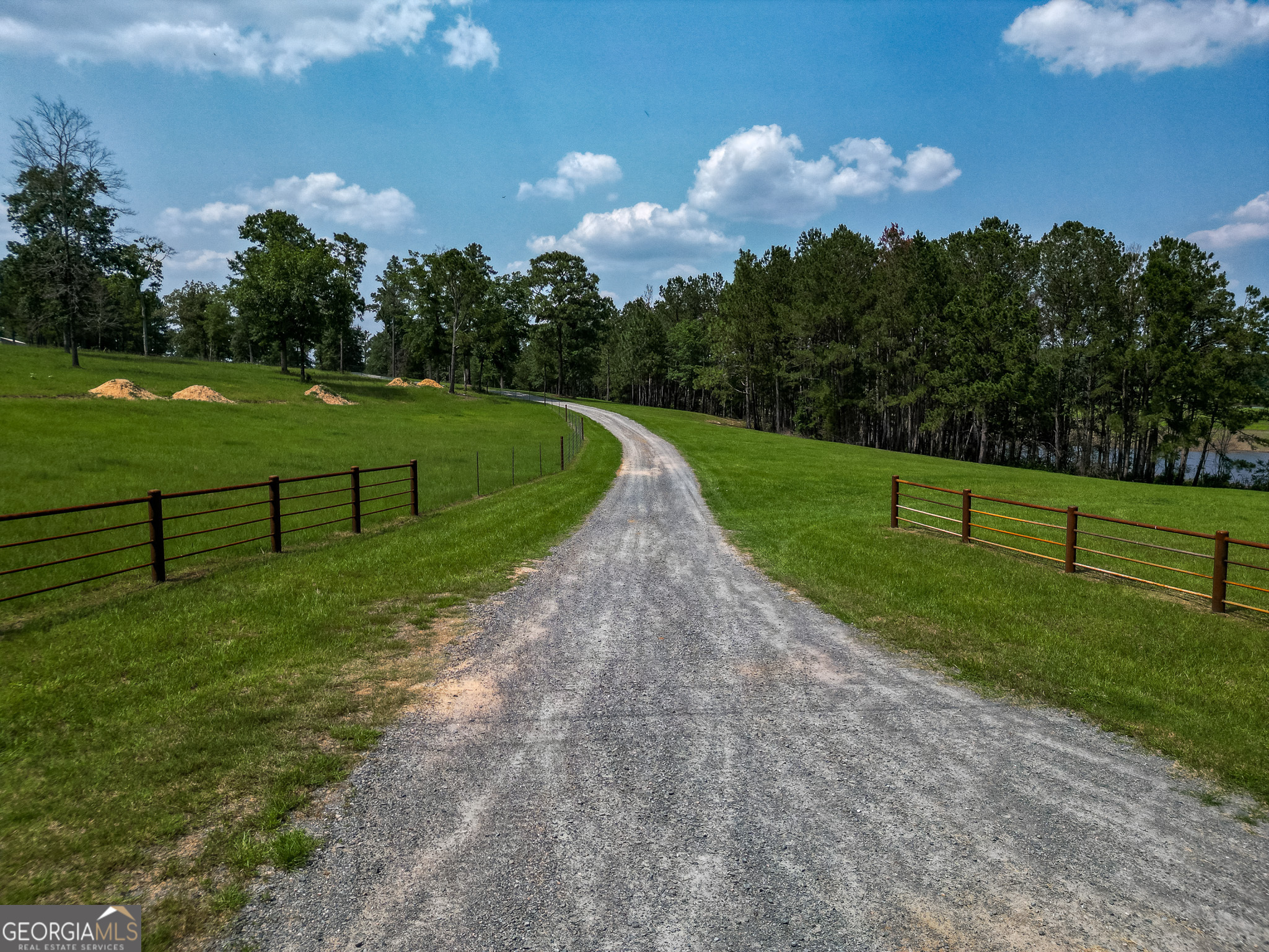 1009 Walter Wells Road Buena Vista GA 31803