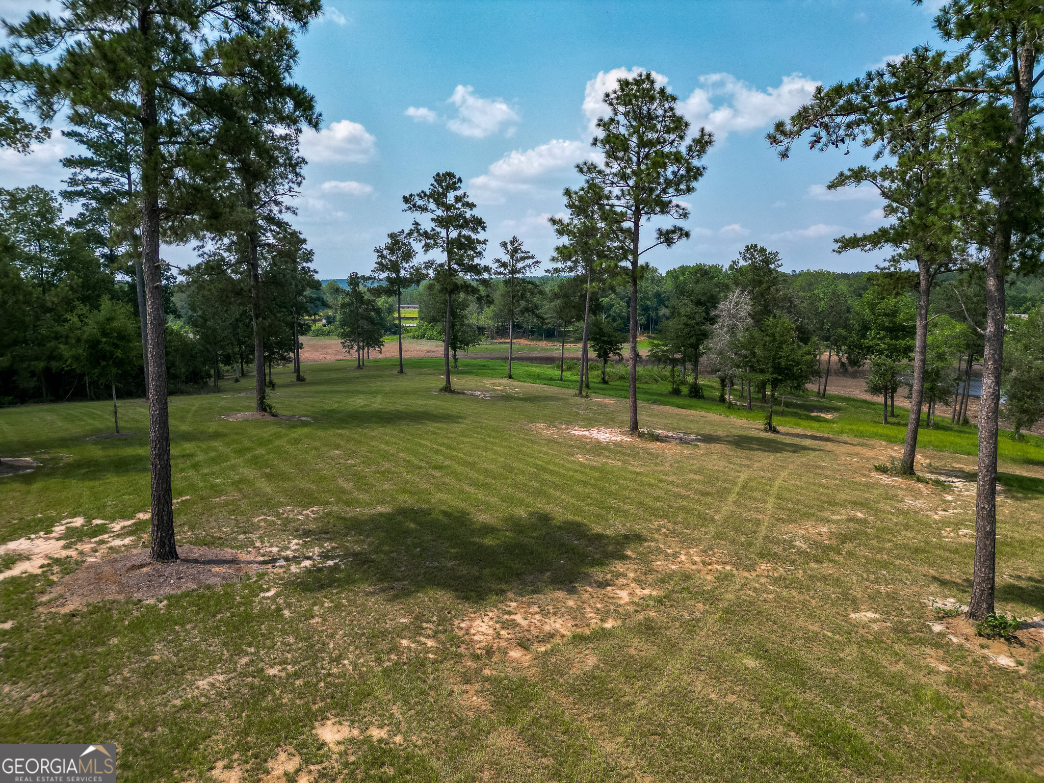 1009 Walter Wells Road Buena Vista GA 31803