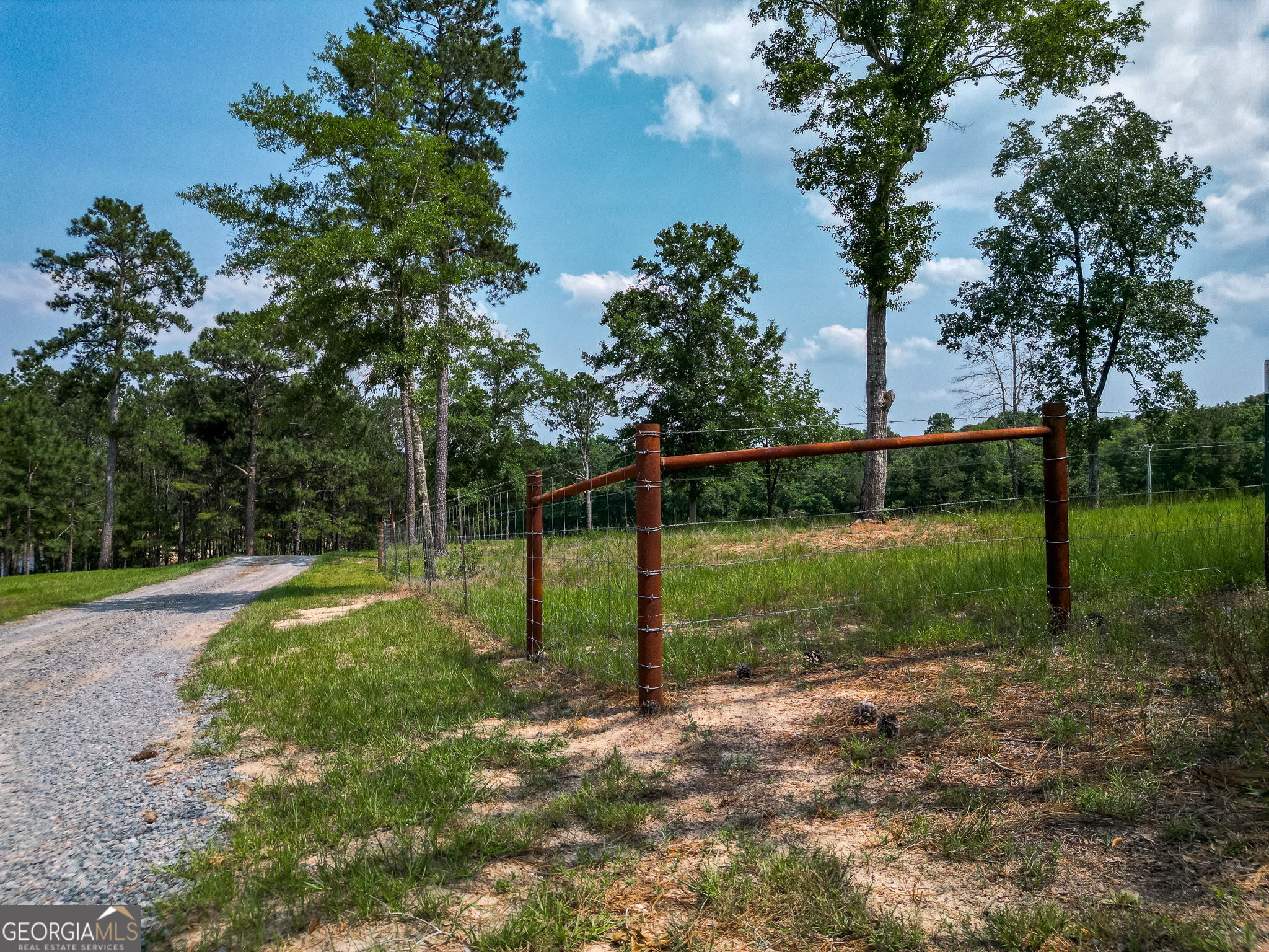 1009 Walter Wells Road Buena Vista GA 31803
