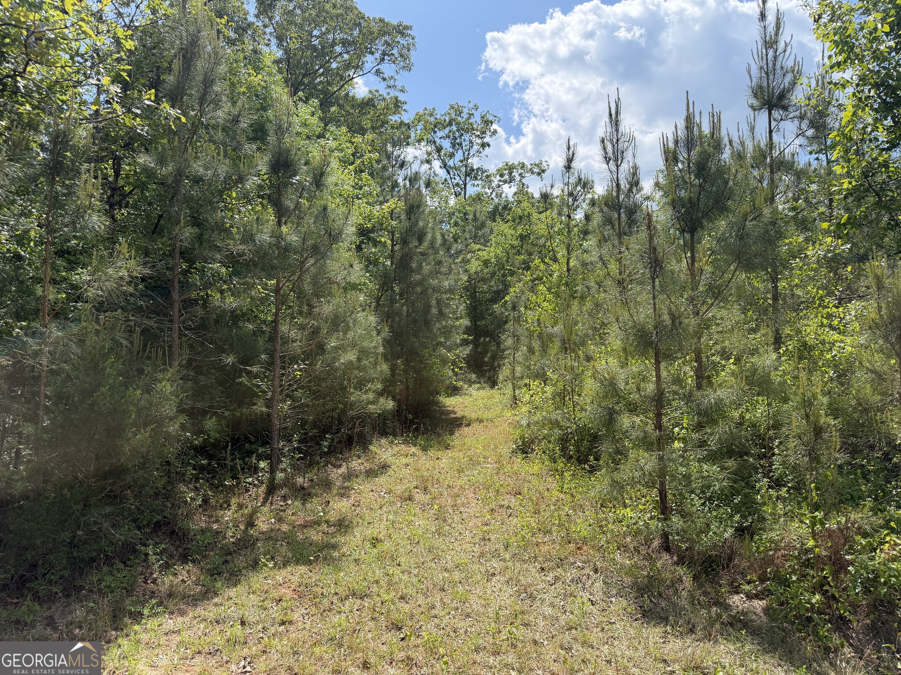 0077 George Milling Road Cuthbert GA 39840
