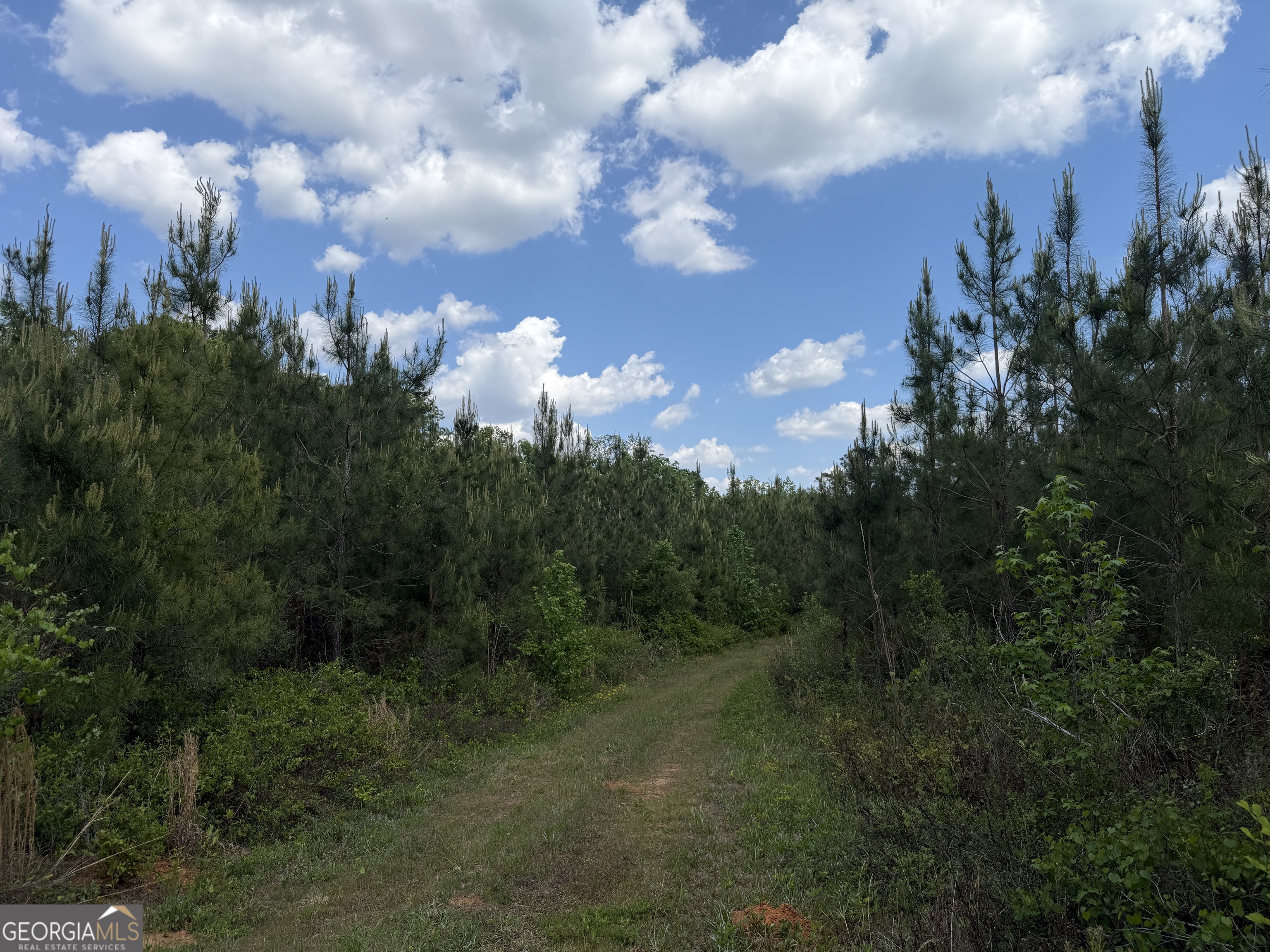 0077 George Milling Road Cuthbert GA 39840