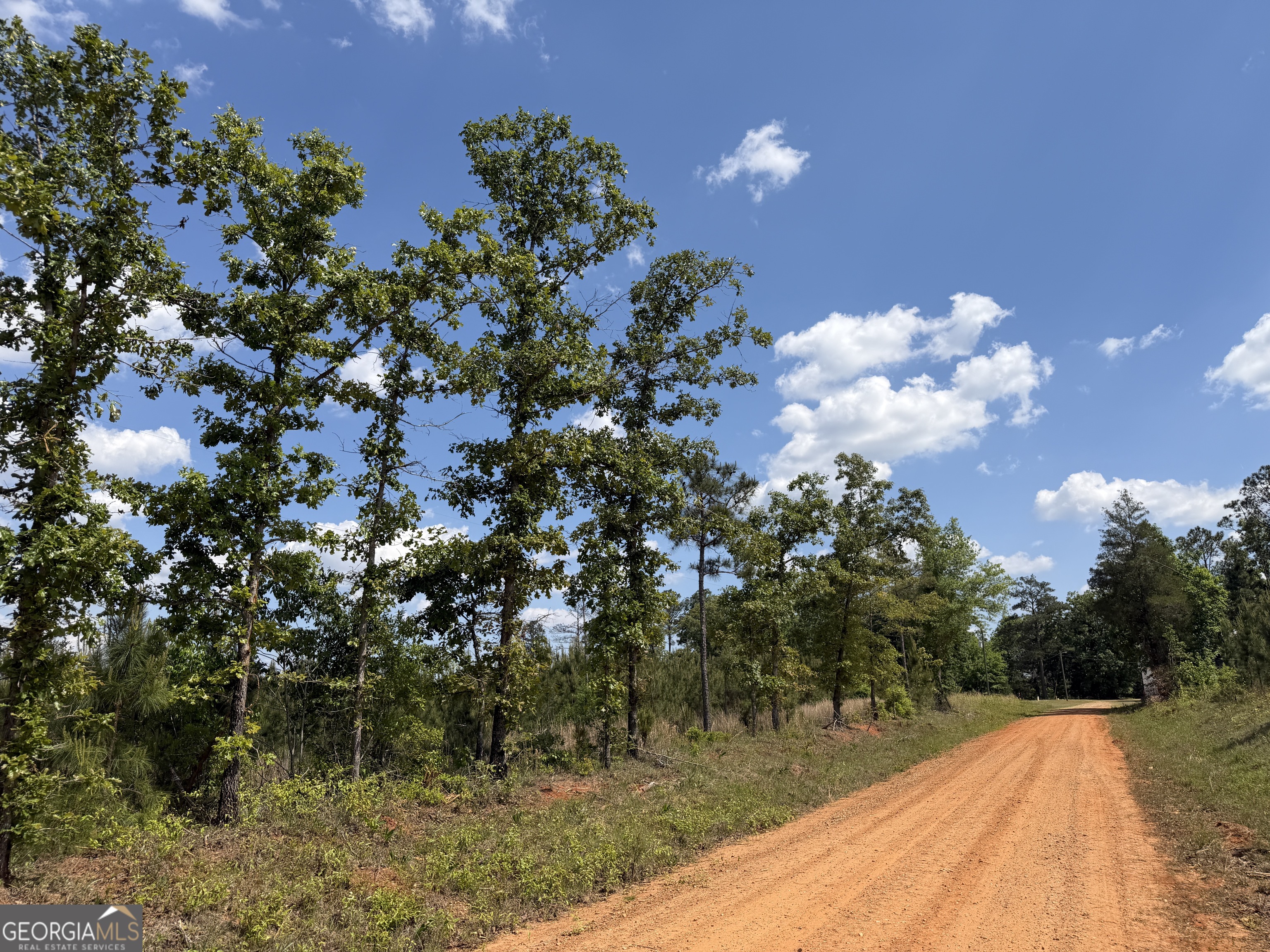 0077 George Milling Road Cuthbert GA 39840