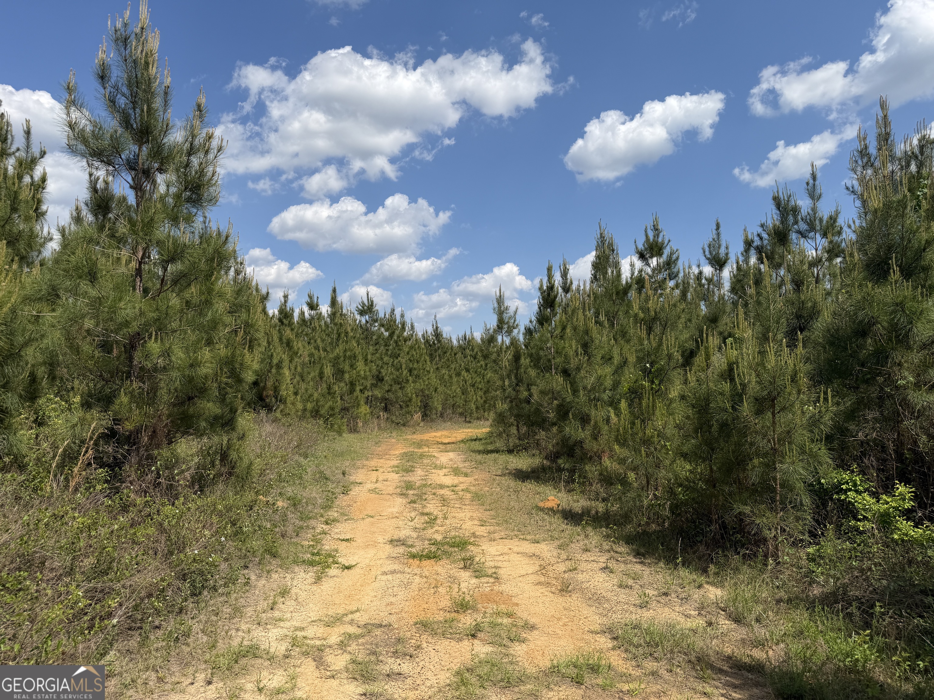 0077 George Milling Road Cuthbert GA 39840