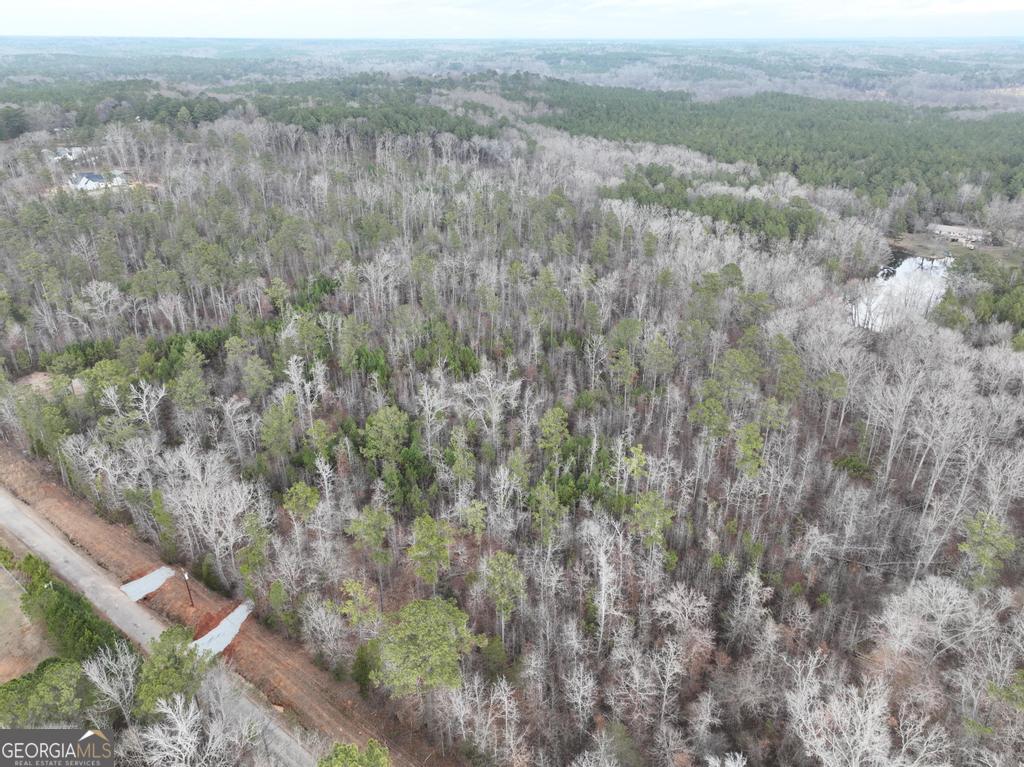 183 Rock Creek Road Flovilla GA 30216