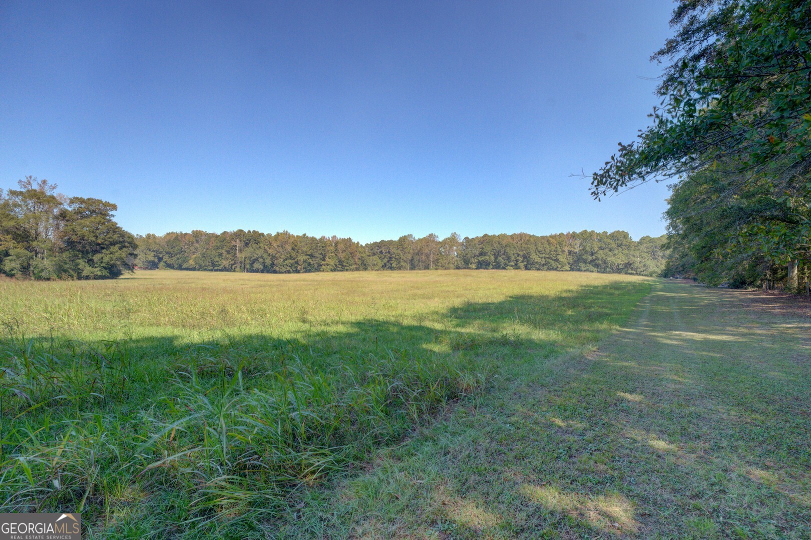 0 Ga Highway 142 Shady Dale GA 31085