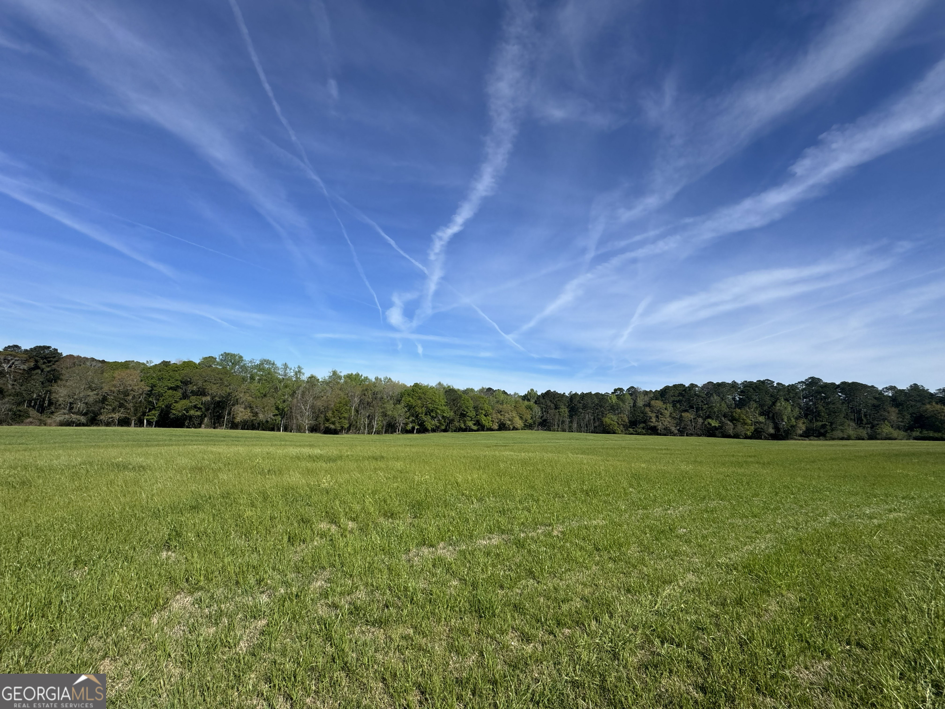 0 Demott Road Hartsfield GA 31756