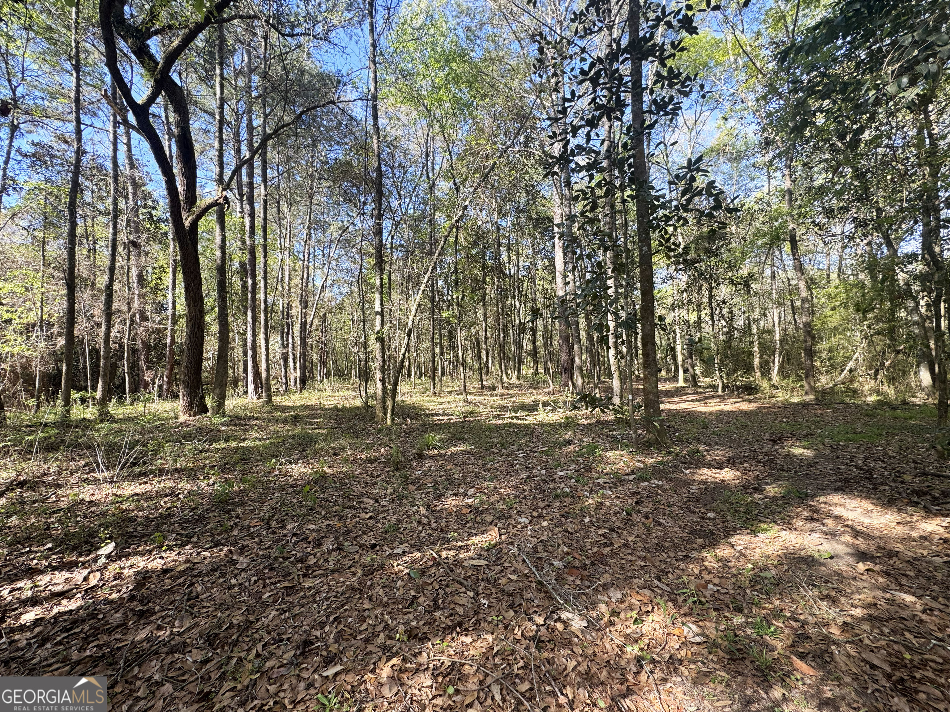 0 Demott Road Hartsfield GA 31756