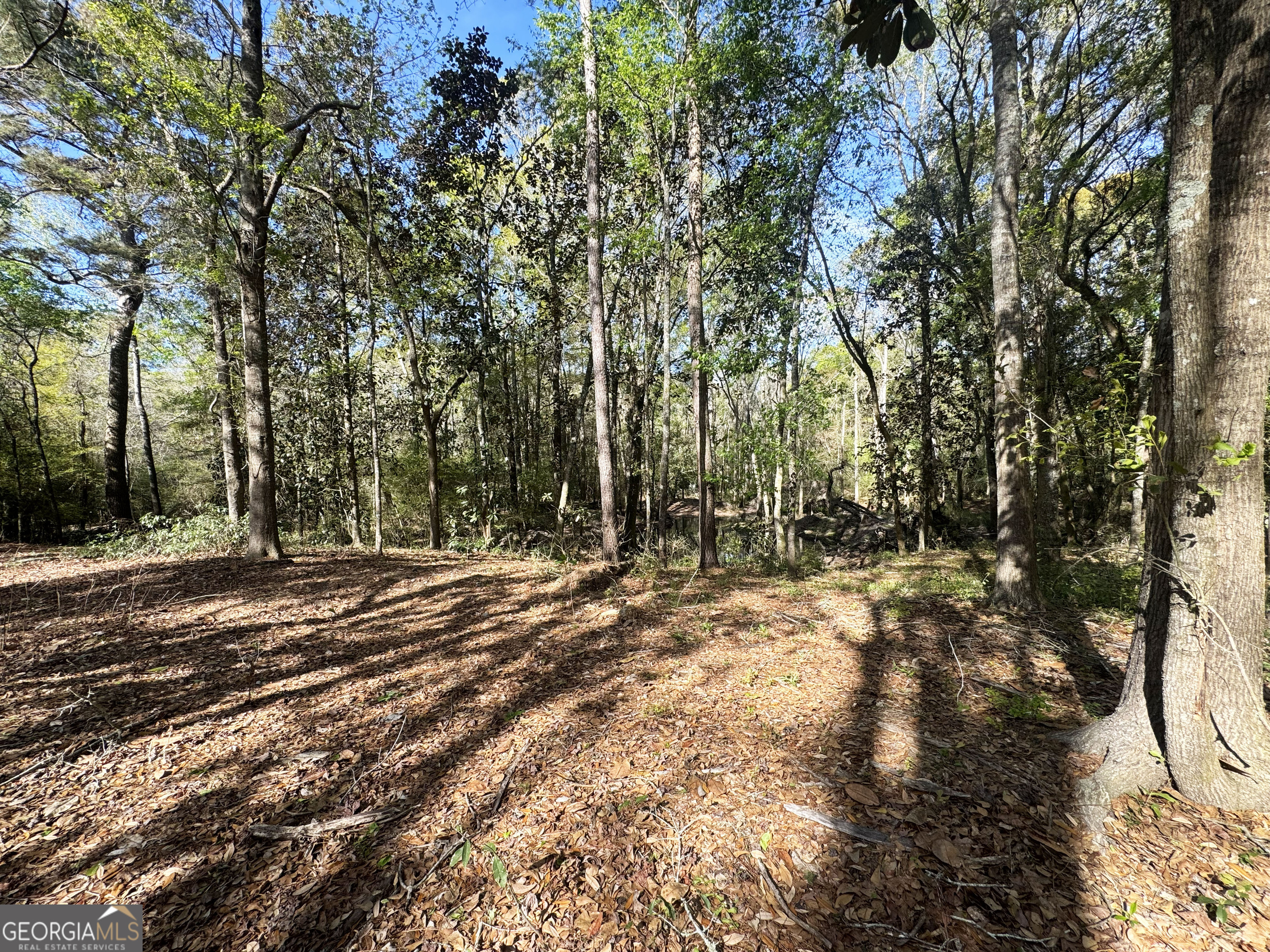 0 Demott Road Hartsfield GA 31756