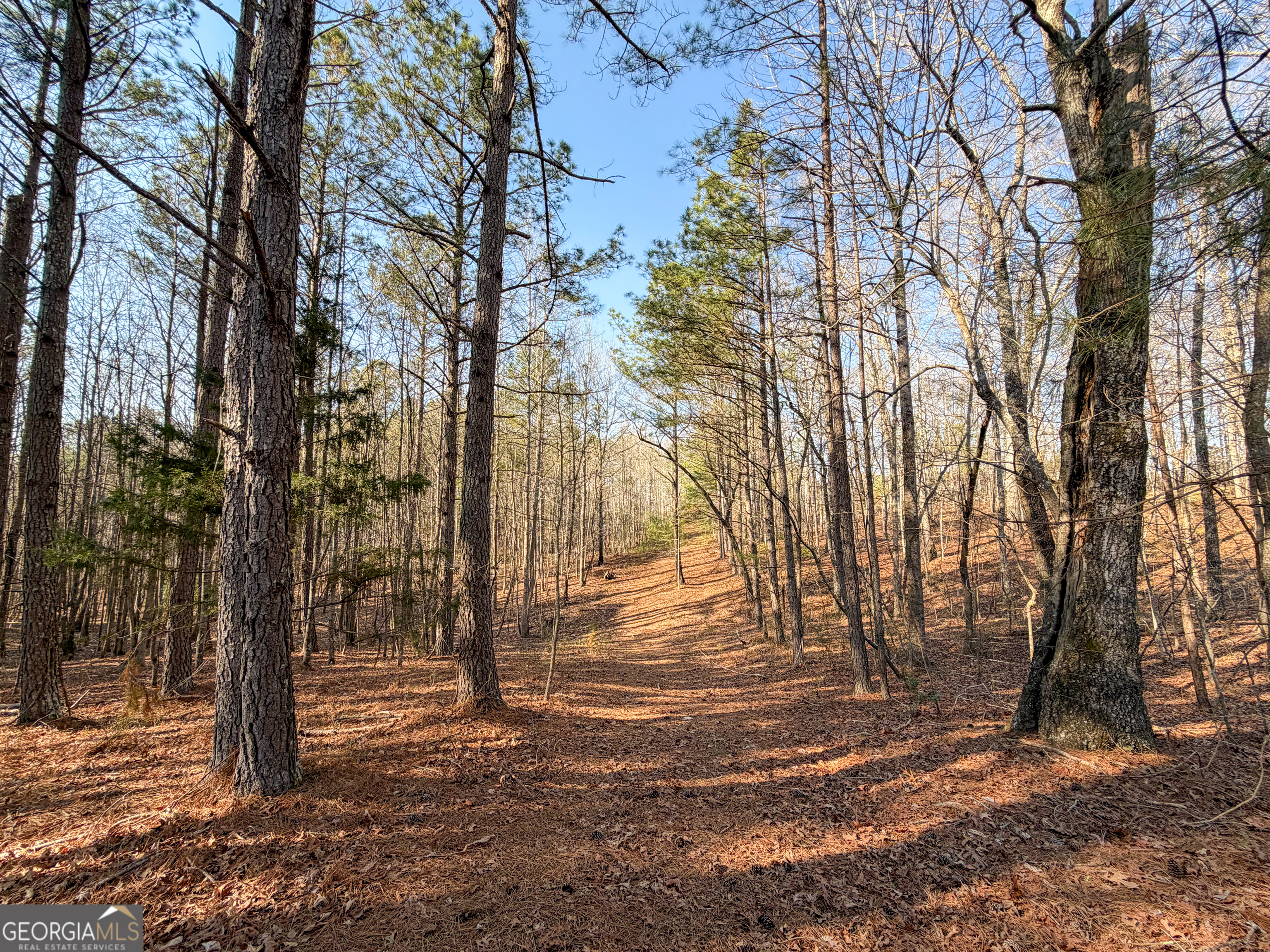 0 W Union Hill Road Winston GA 30187