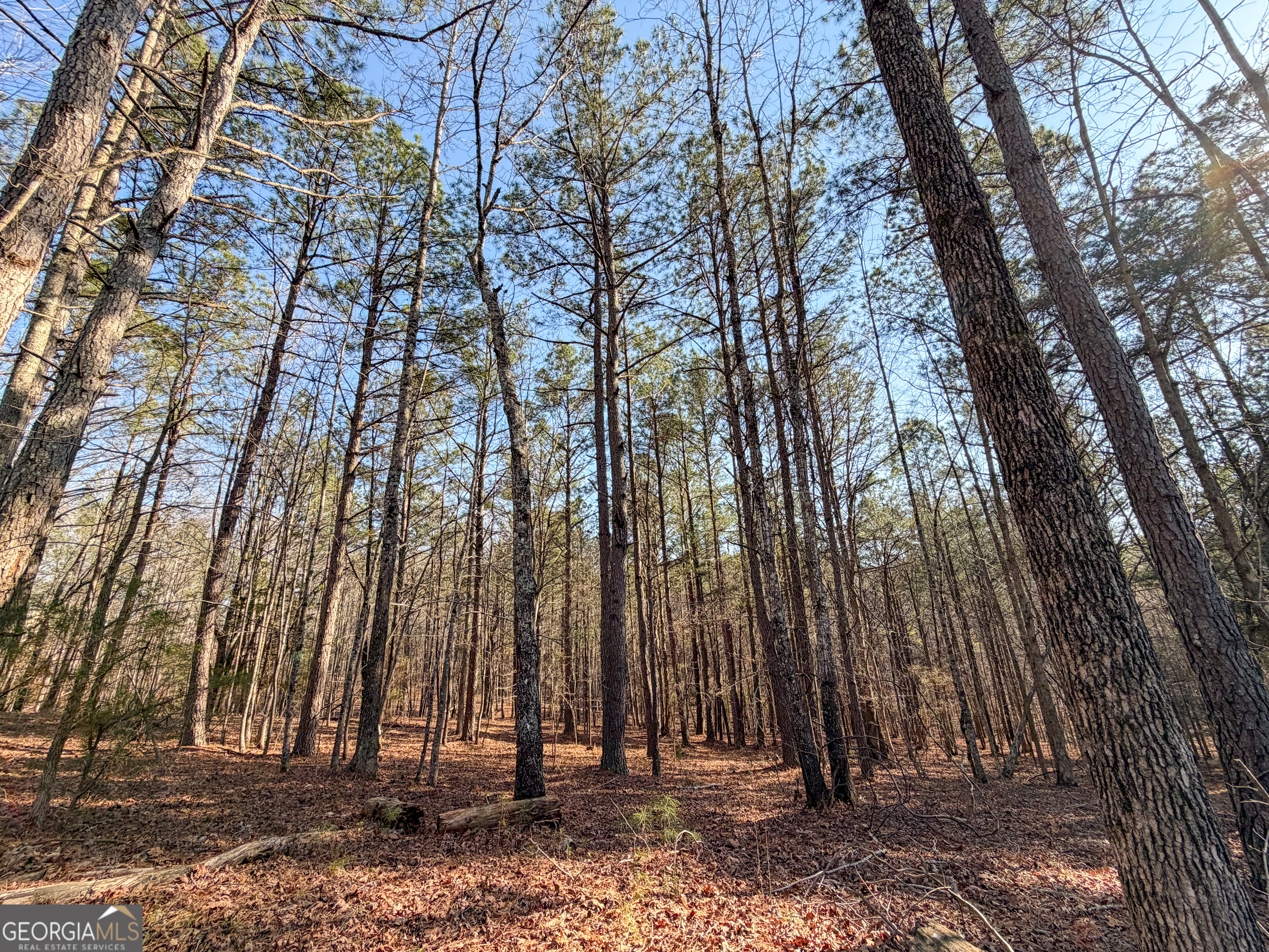 0 W Union Hill Road Winston GA 30187