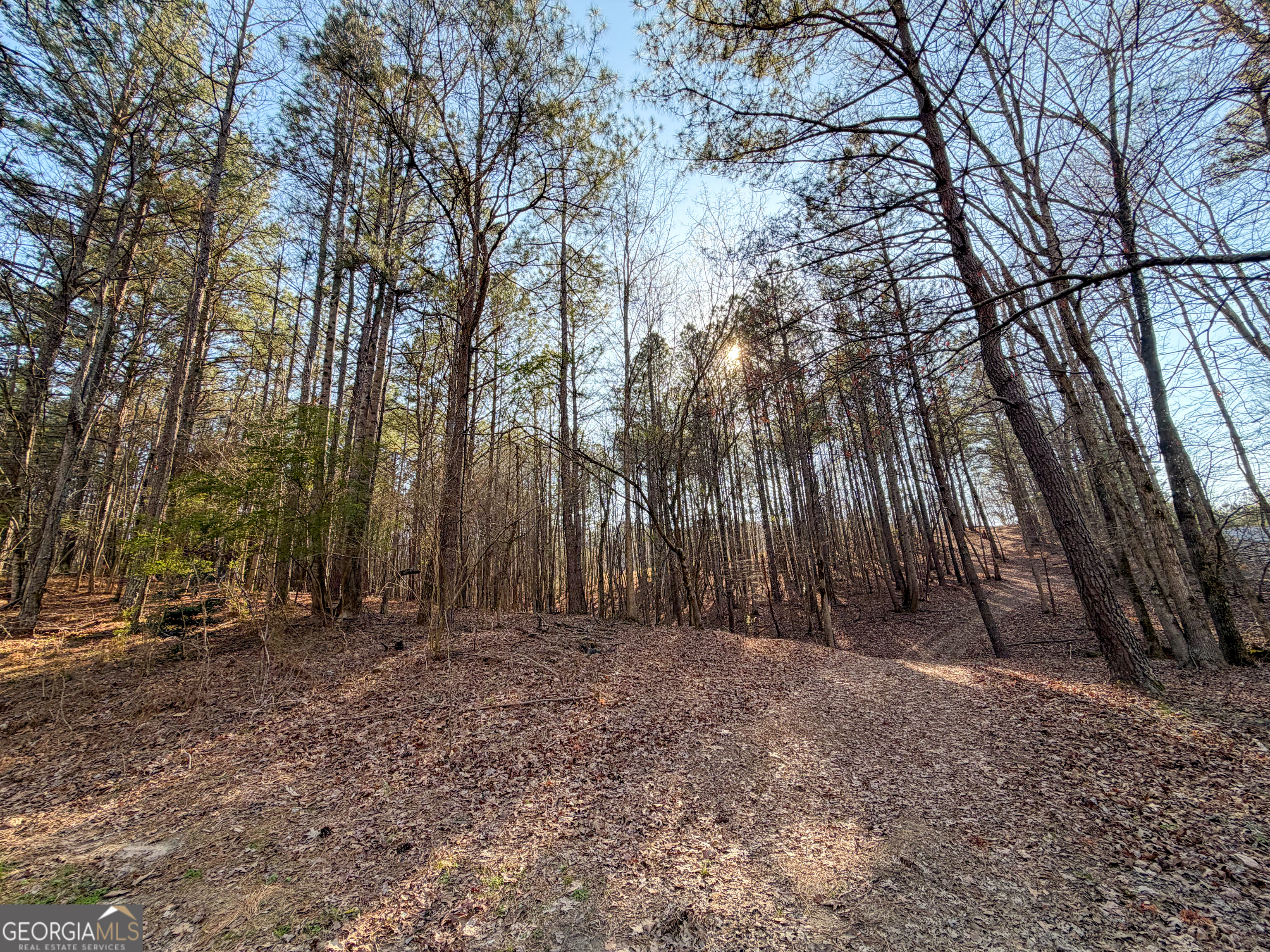 0 W Union Hill Road Winston GA 30187