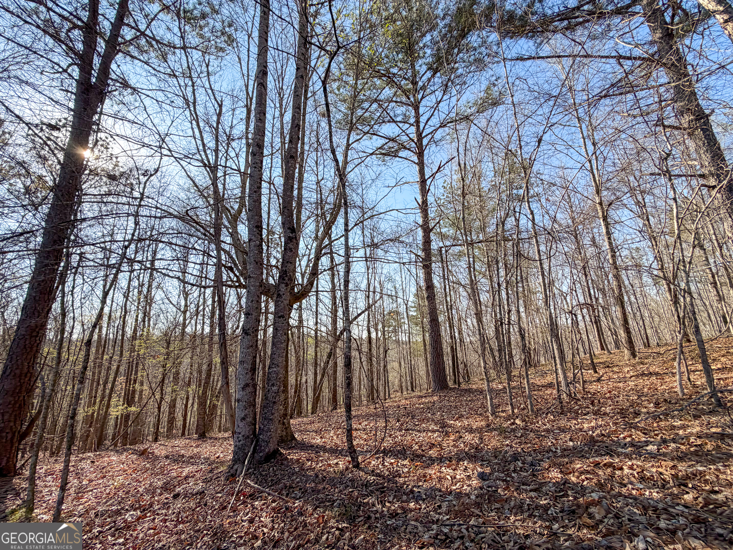 0 W Union Hill Road Winston GA 30187