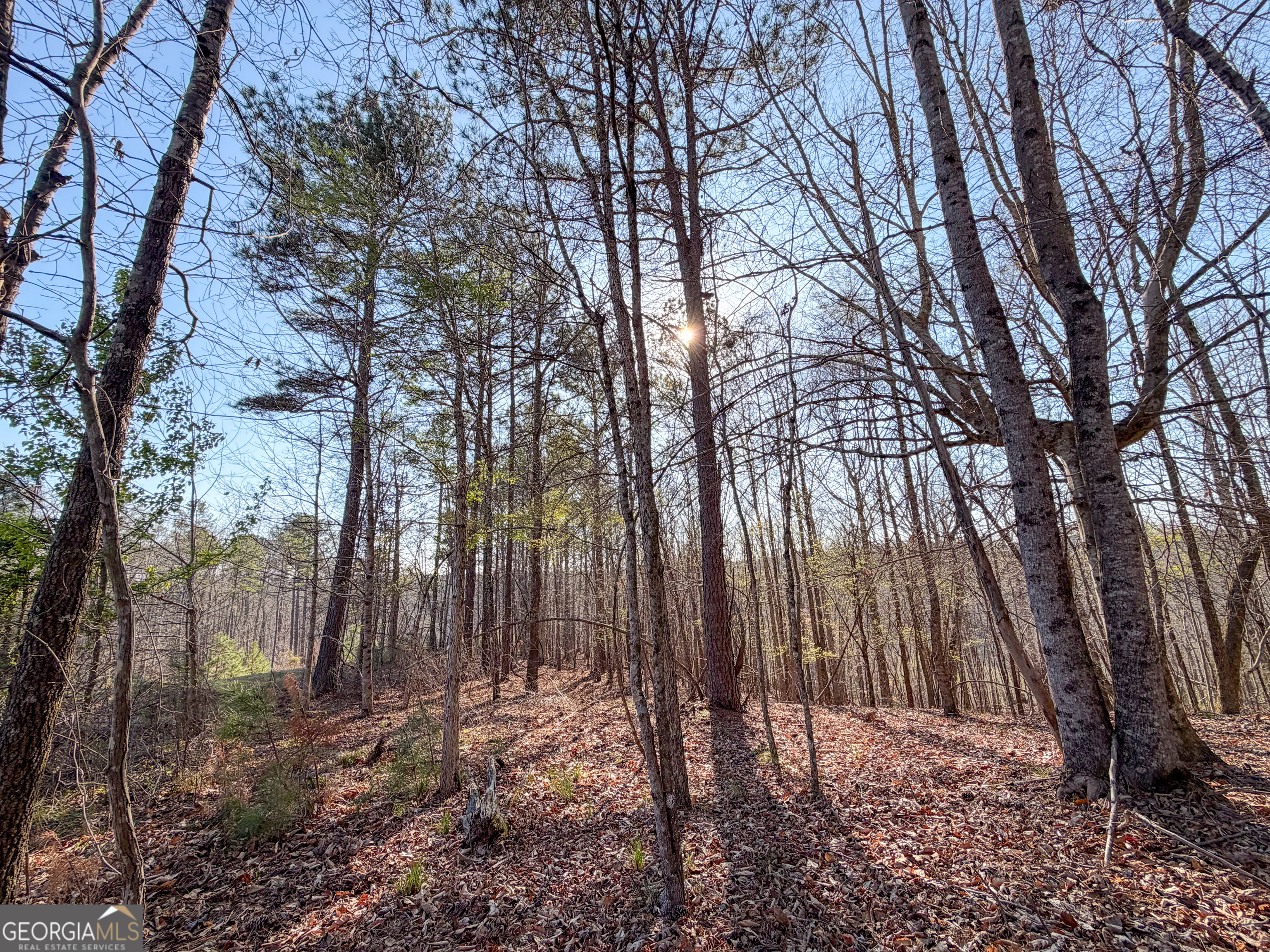 0 W Union Hill Road Winston GA 30187