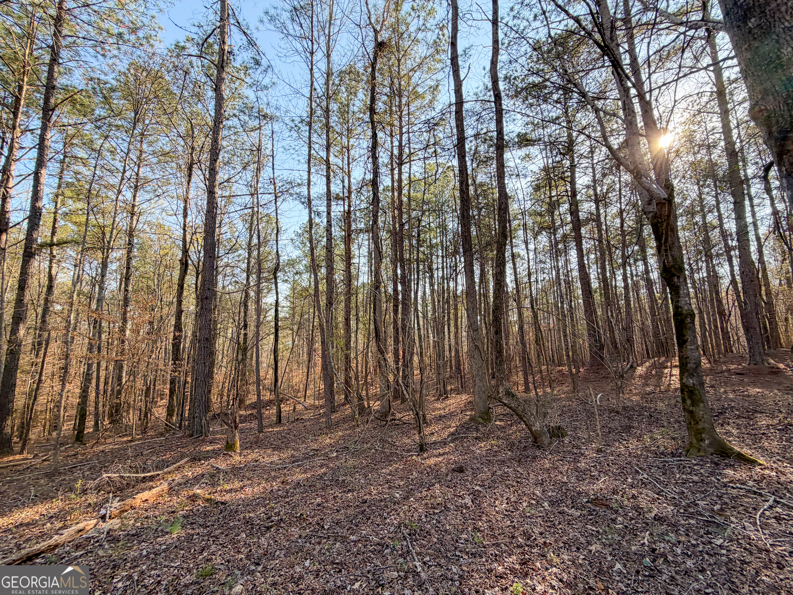 0 W Union Hill Road Winston GA 30187