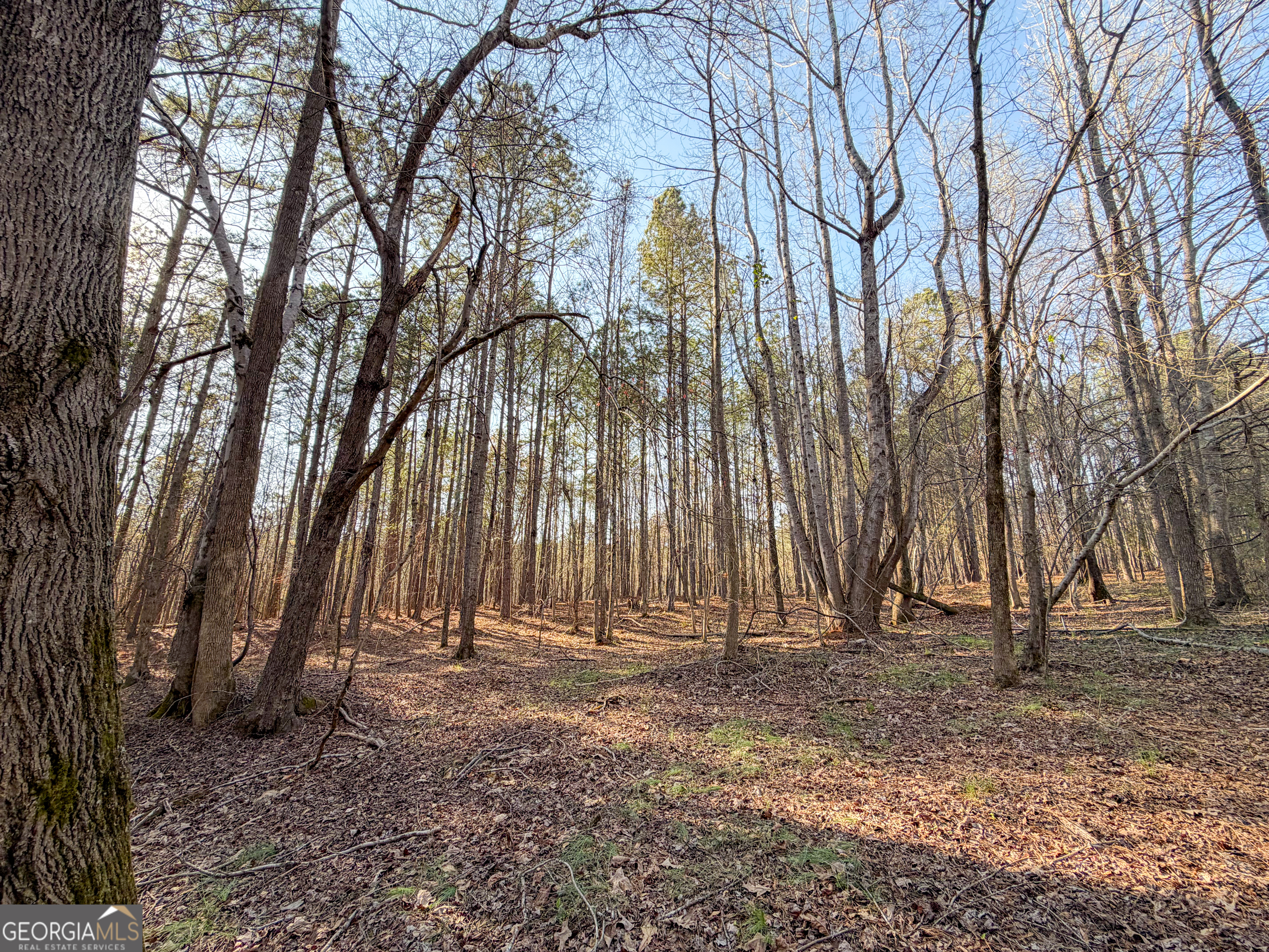 0 W Union Hill Road Winston GA 30187