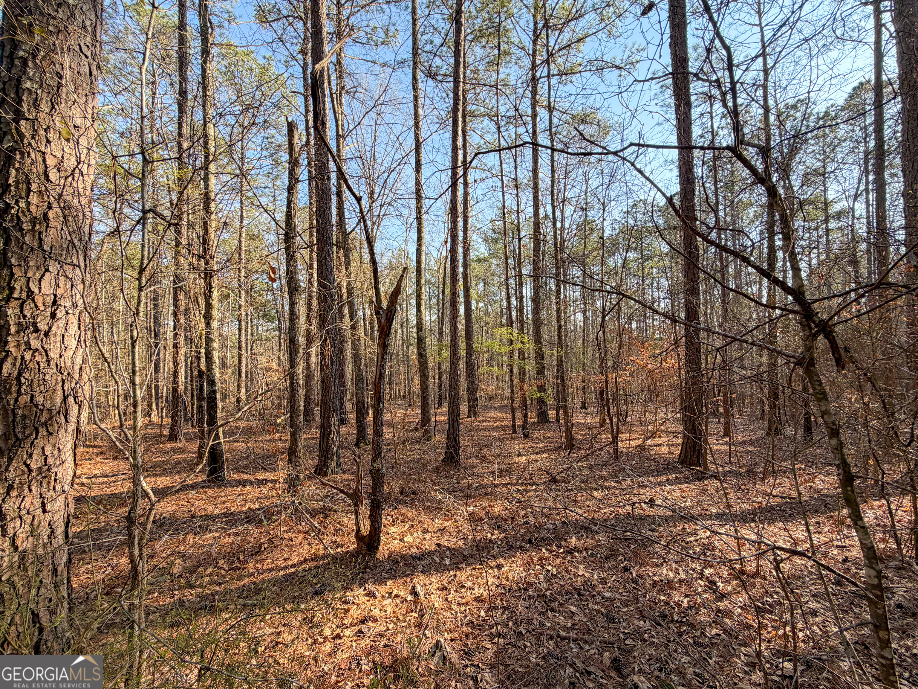 0 W Union Hill Road Winston GA 30187