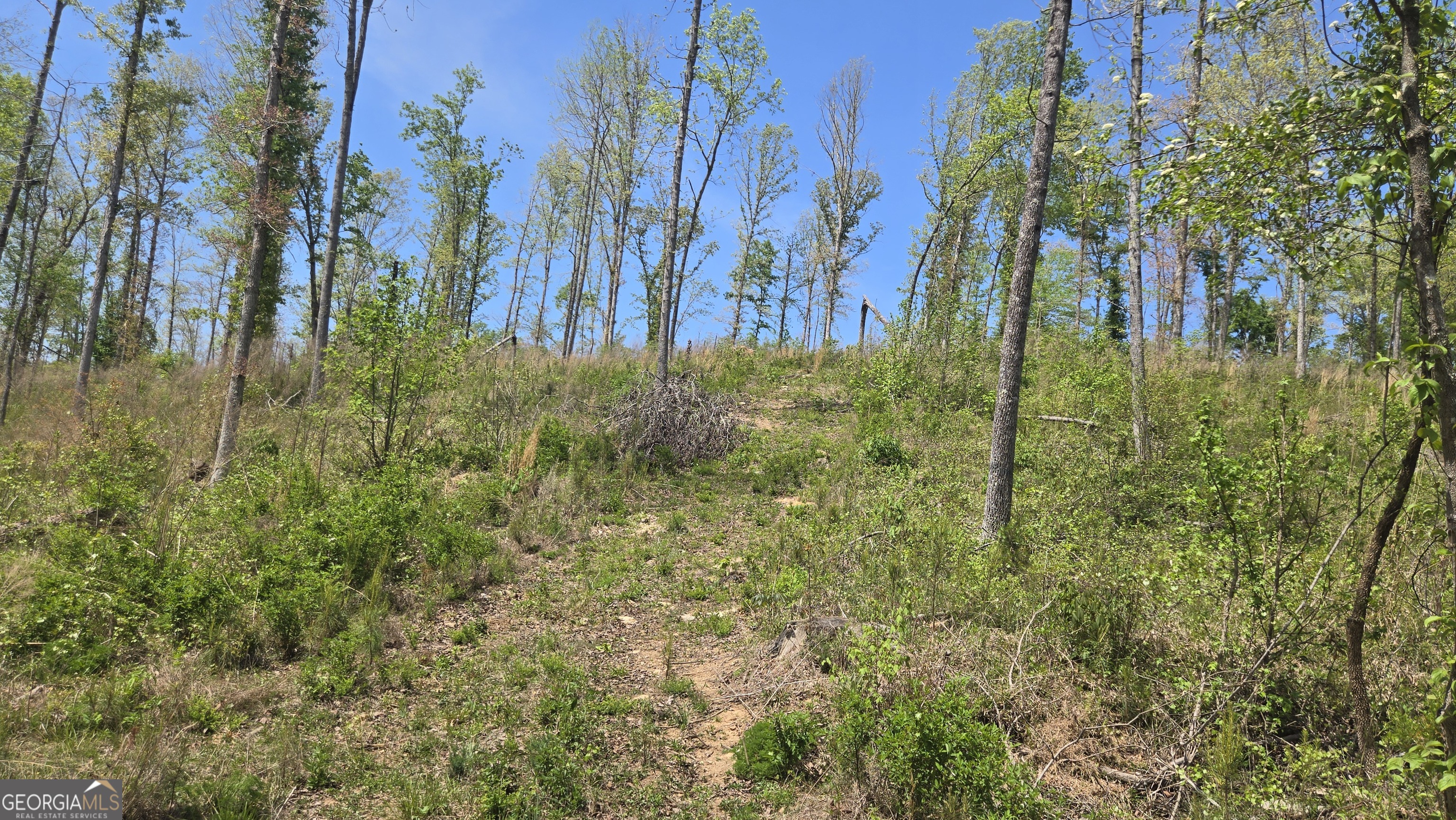0 Sand Hill Road Bowman GA 30624