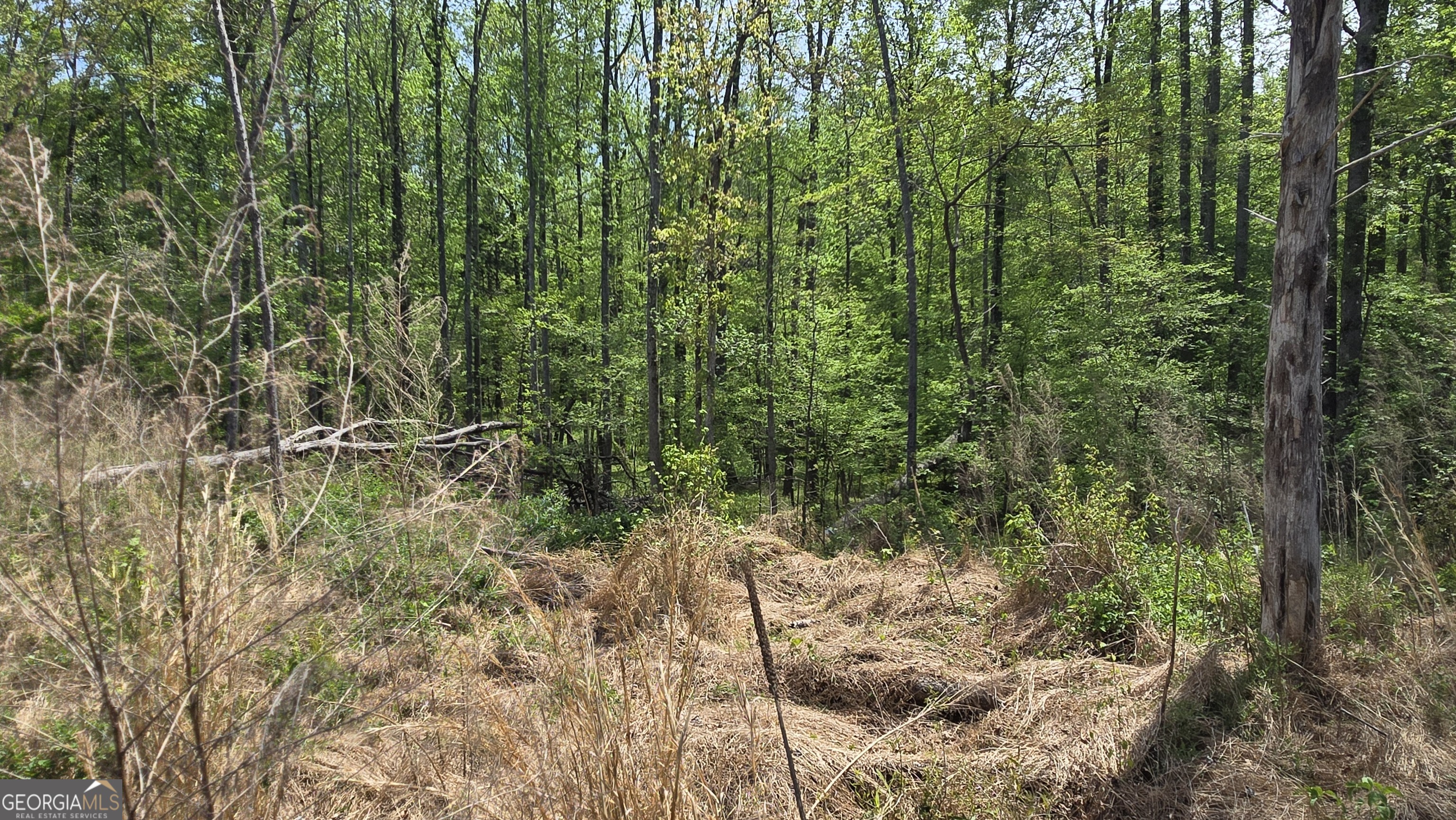 0 Sand Hill Road Bowman GA 30624