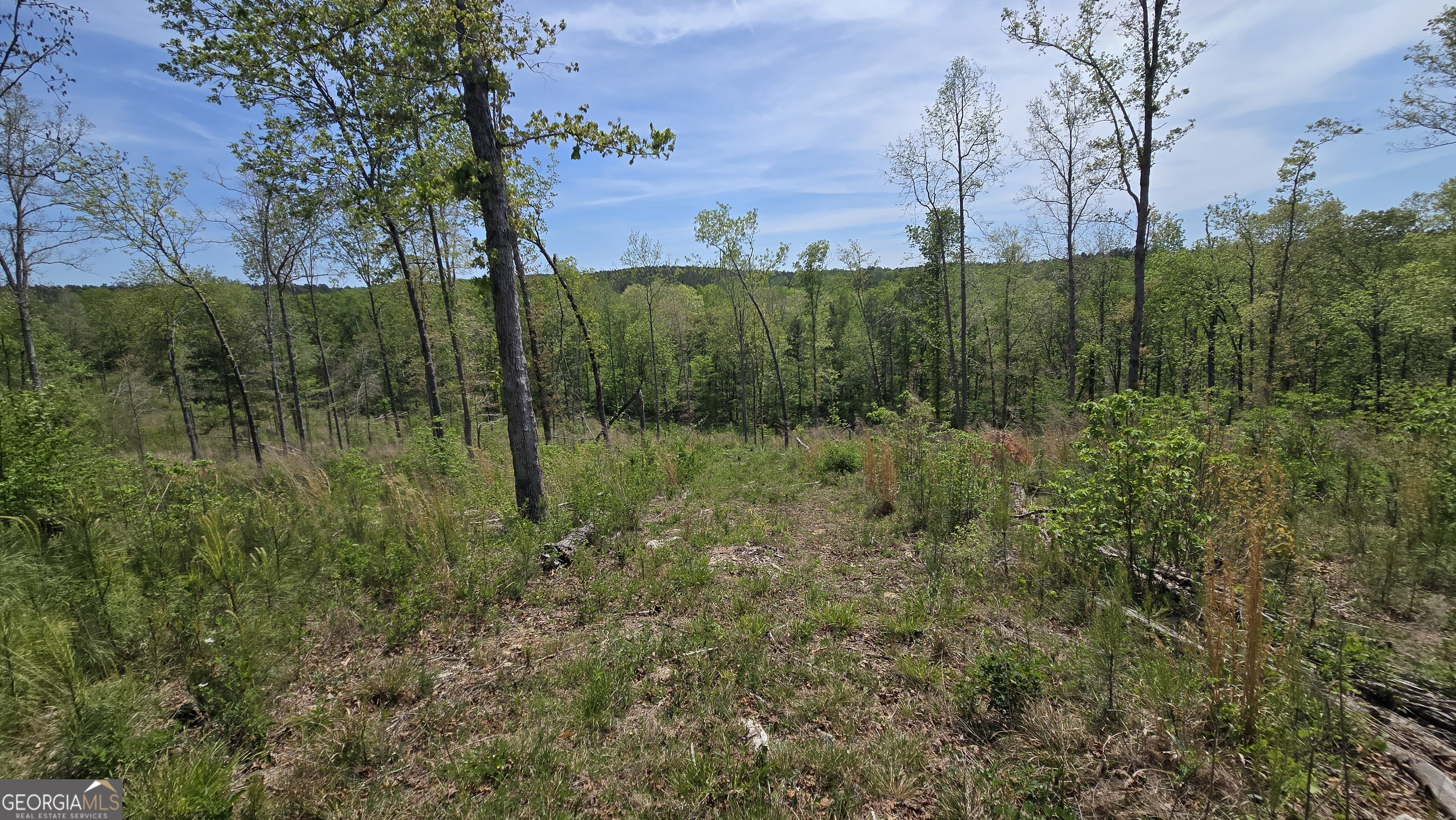 0 Sand Hill Road Bowman GA 30624