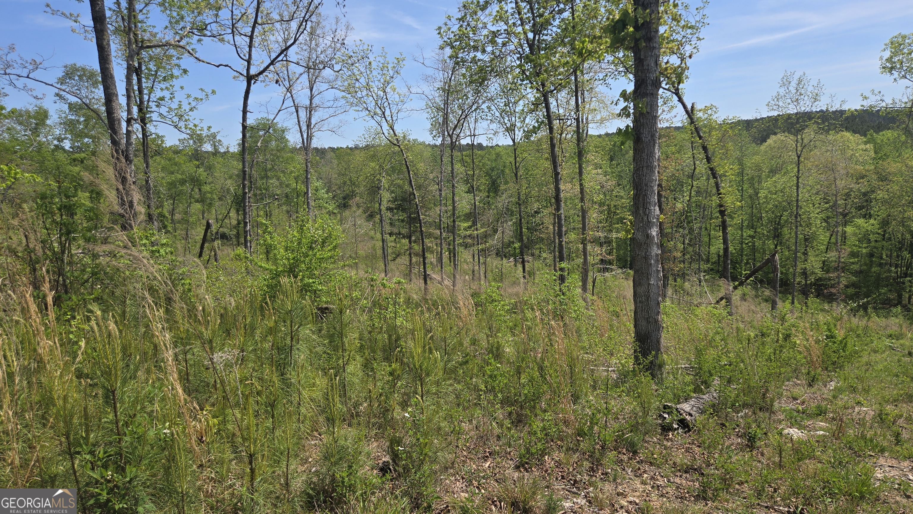 0 Sand Hill Road Bowman GA 30624