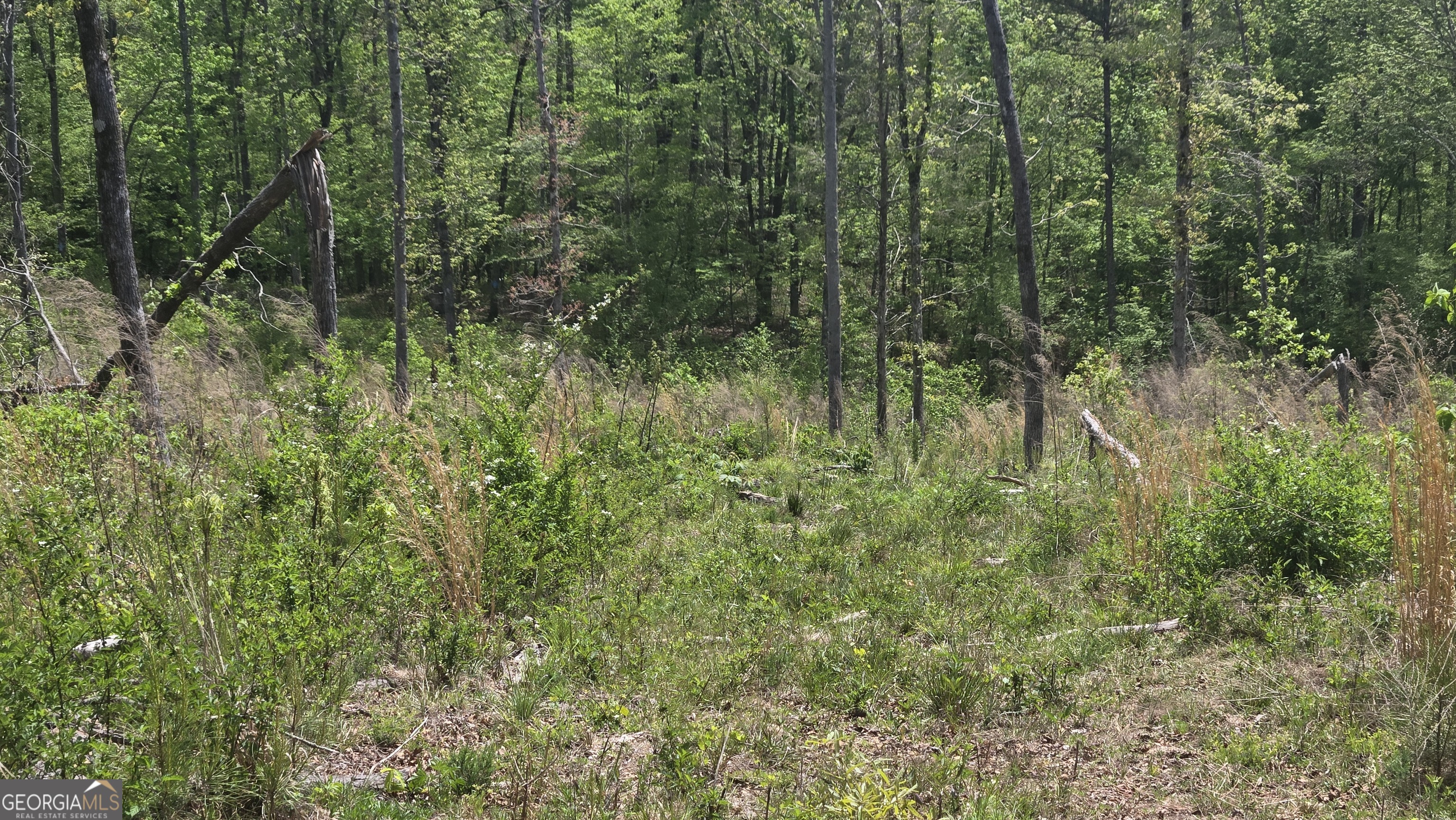 0 Sand Hill Road Bowman GA 30624
