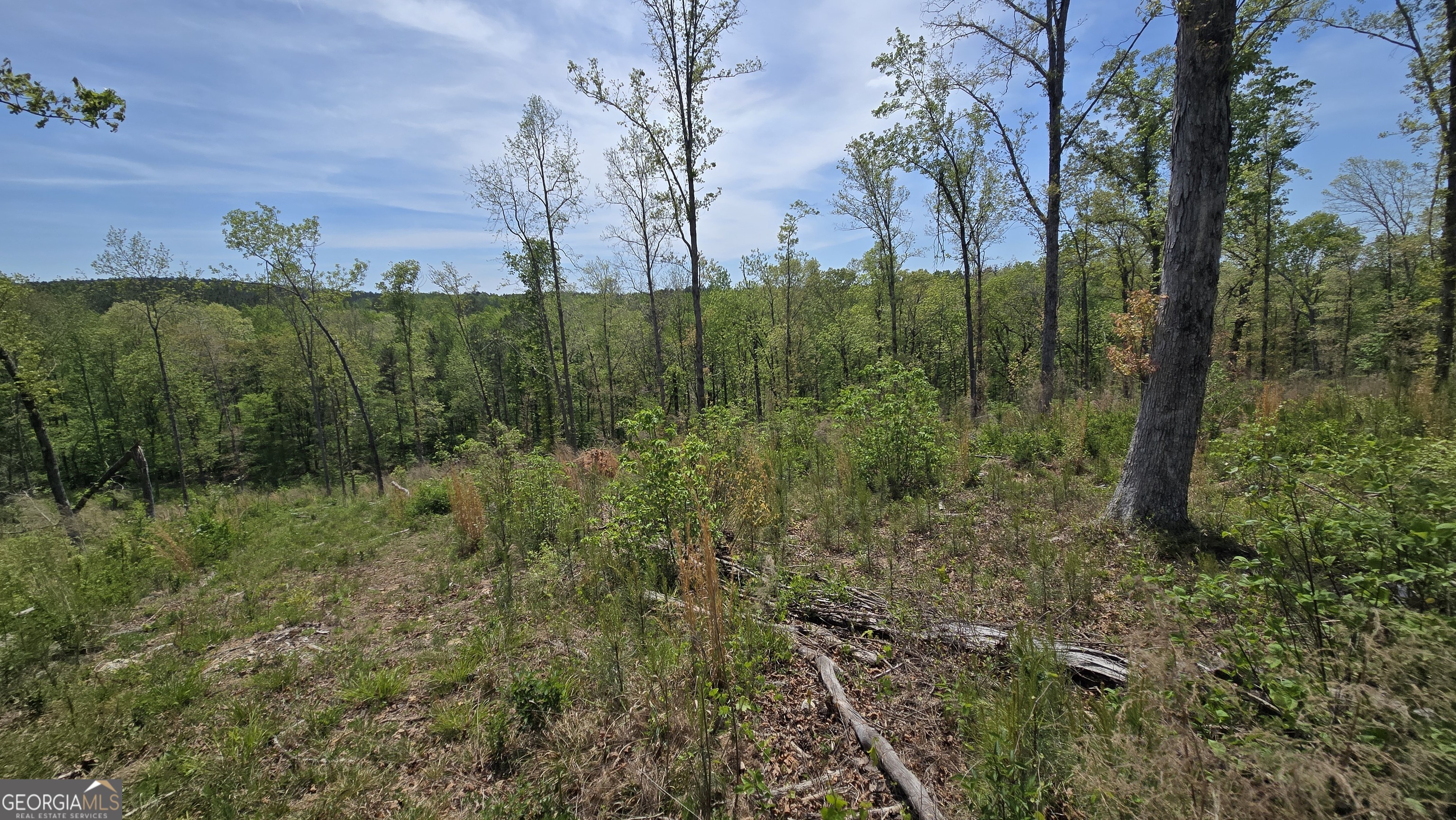 0 Sand Hill Road Bowman GA 30624