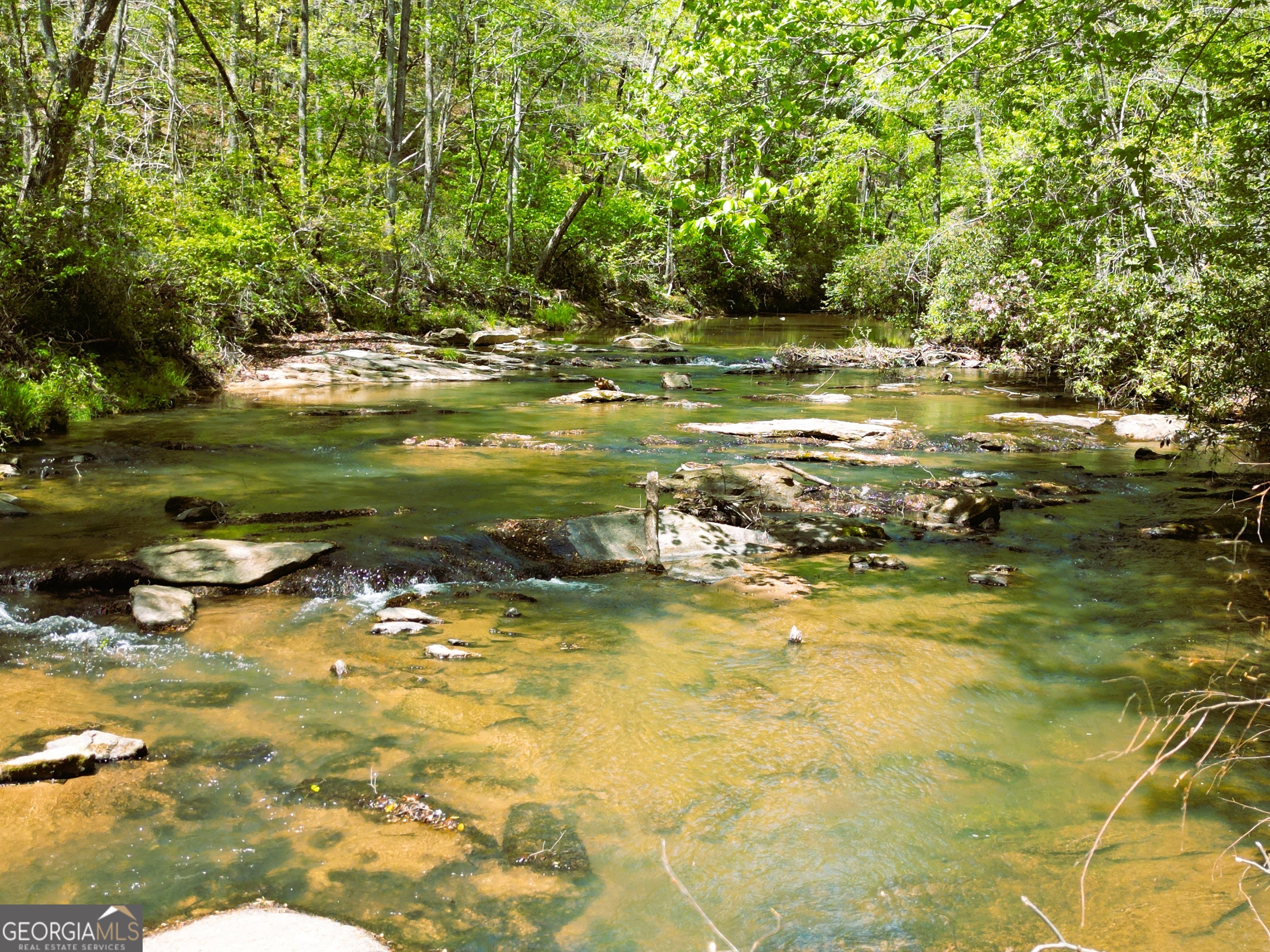 0 Sand Hill Road Bowman GA 30624