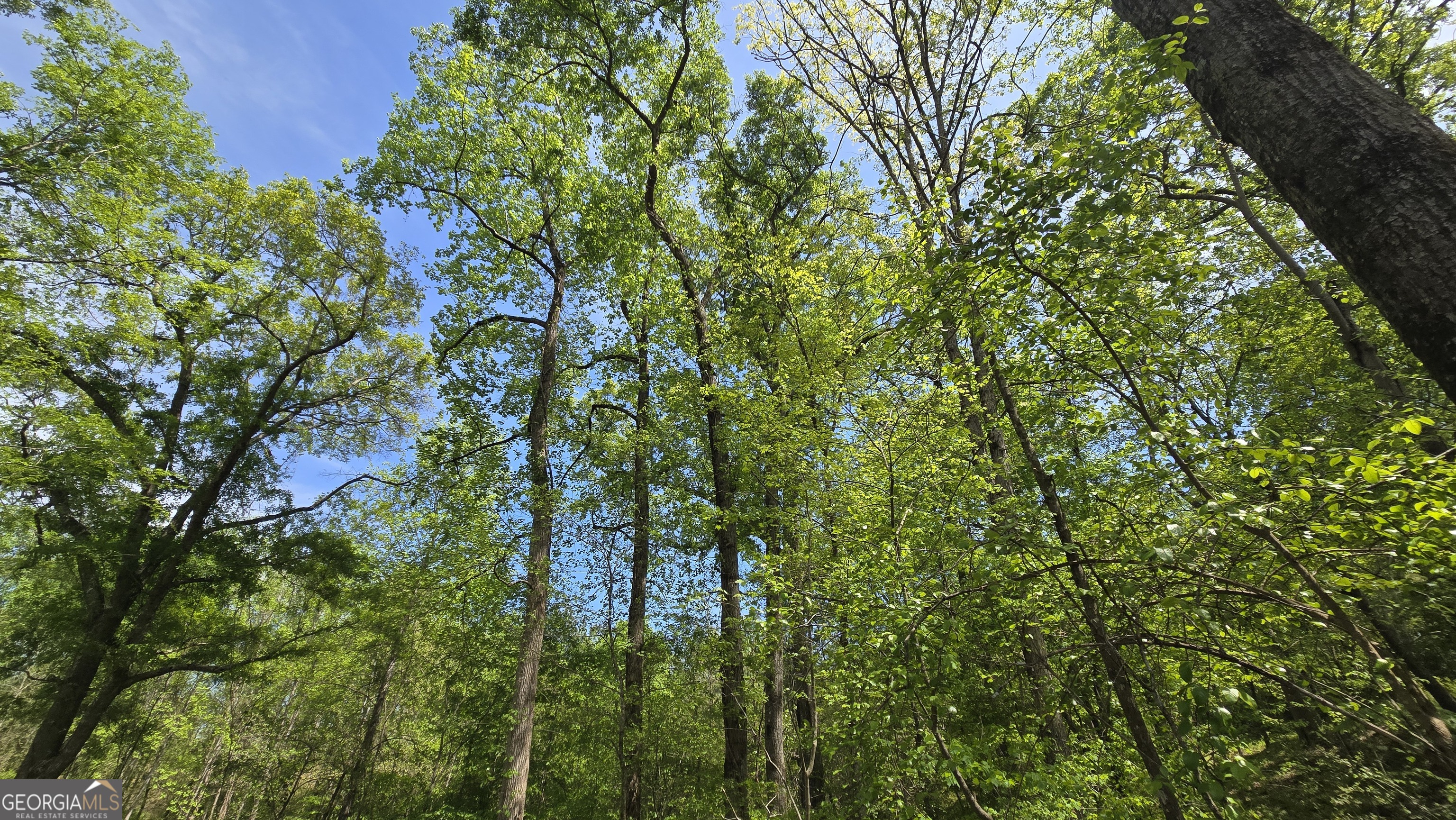 0 Sand Hill Road Bowman GA 30624