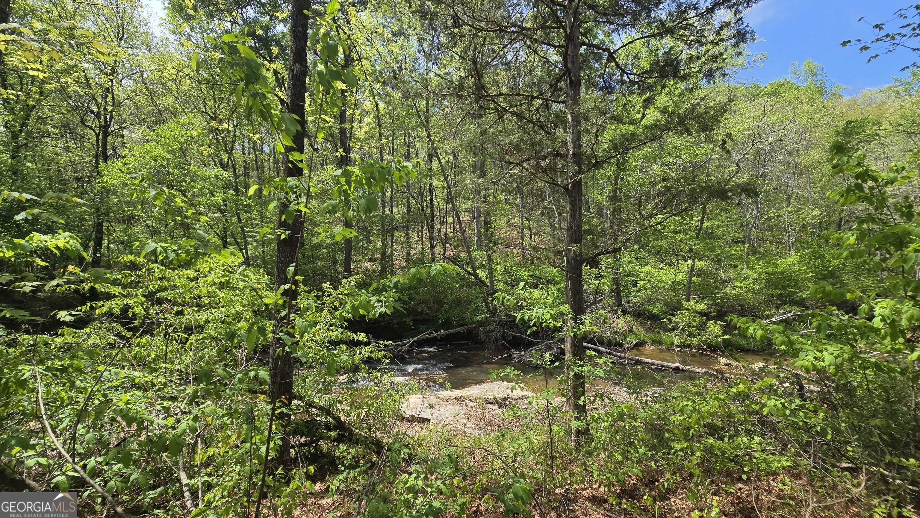 0 Sand Hill Road Bowman GA 30624