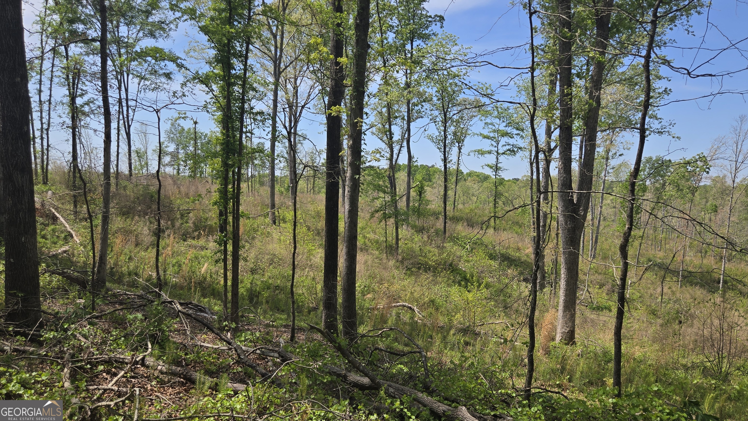 0 Sand Hill Road Bowman GA 30624