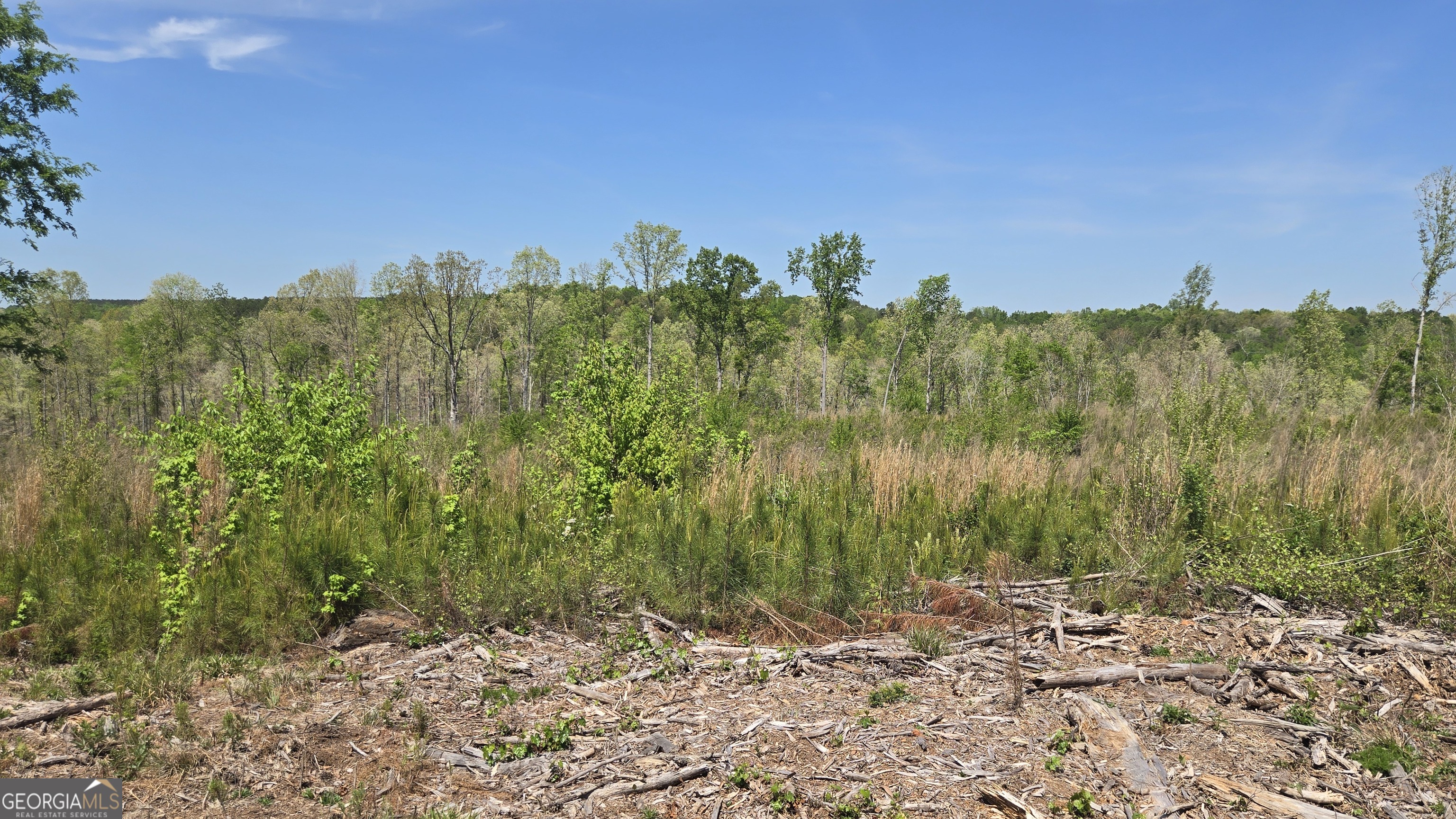 0 Sand Hill Road Bowman GA 30624