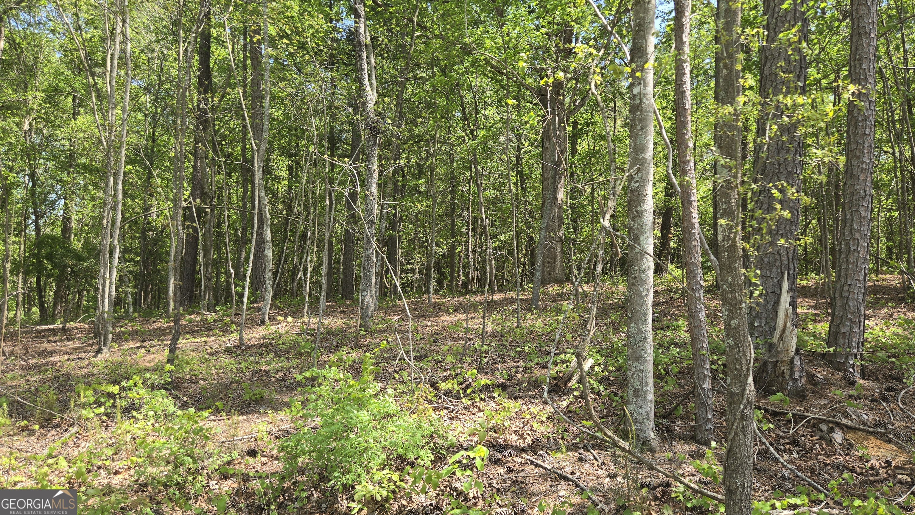 0 Sand Hill Road Bowman GA 30624