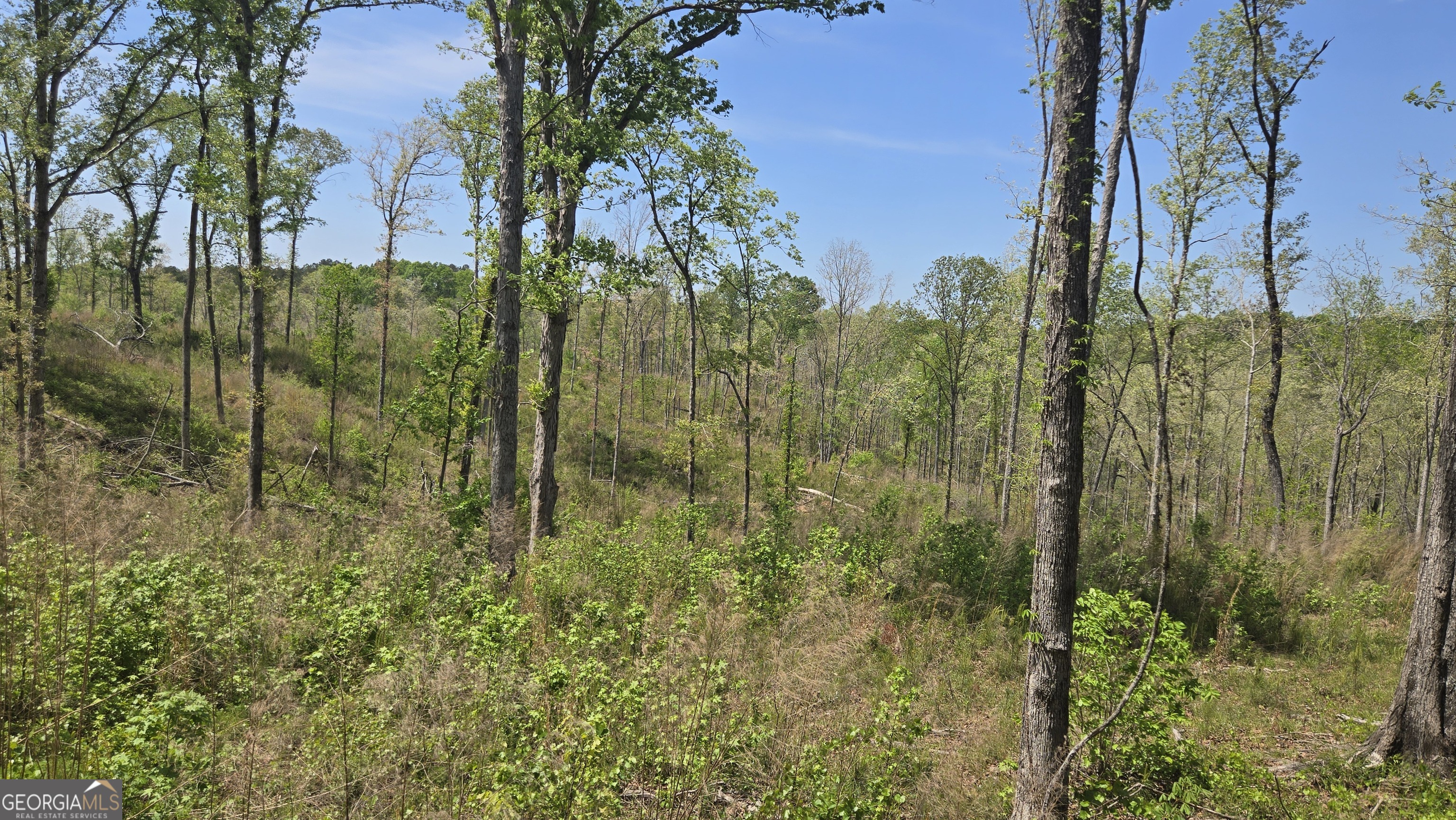 0 Sand Hill Road Bowman GA 30624