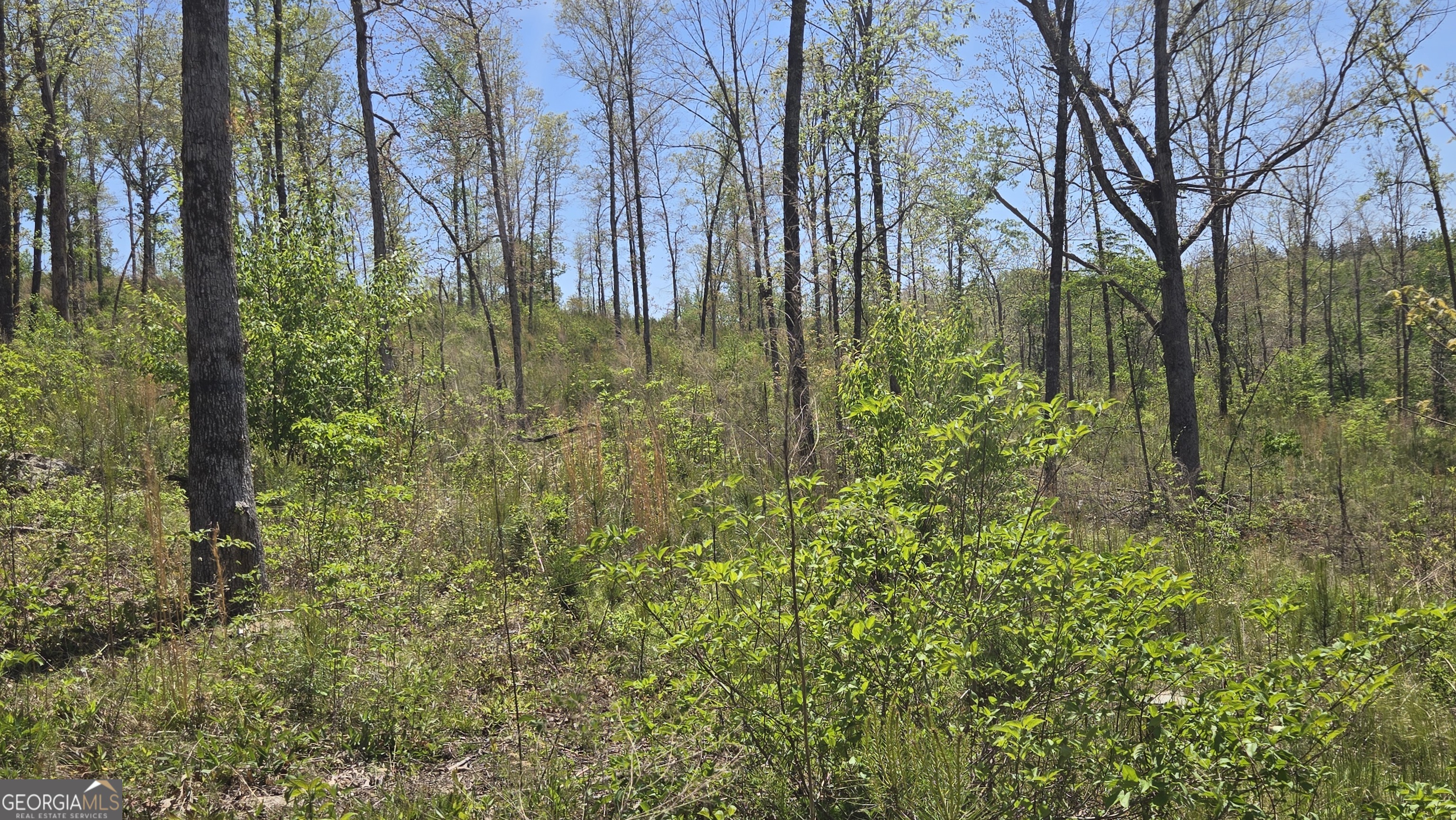 0 Sand Hill Road Bowman GA 30624