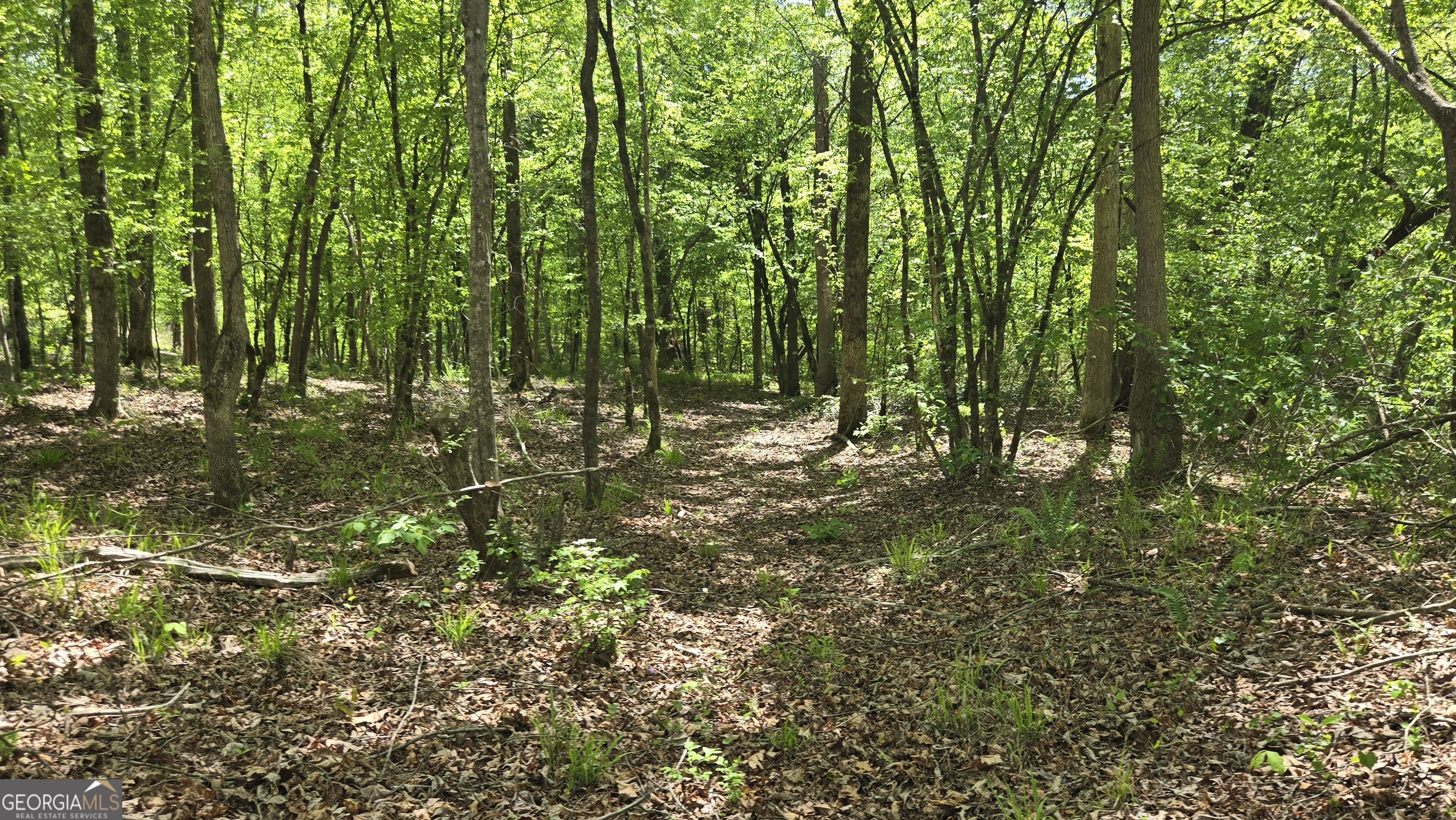 0 Sand Hill Road Bowman GA 30624