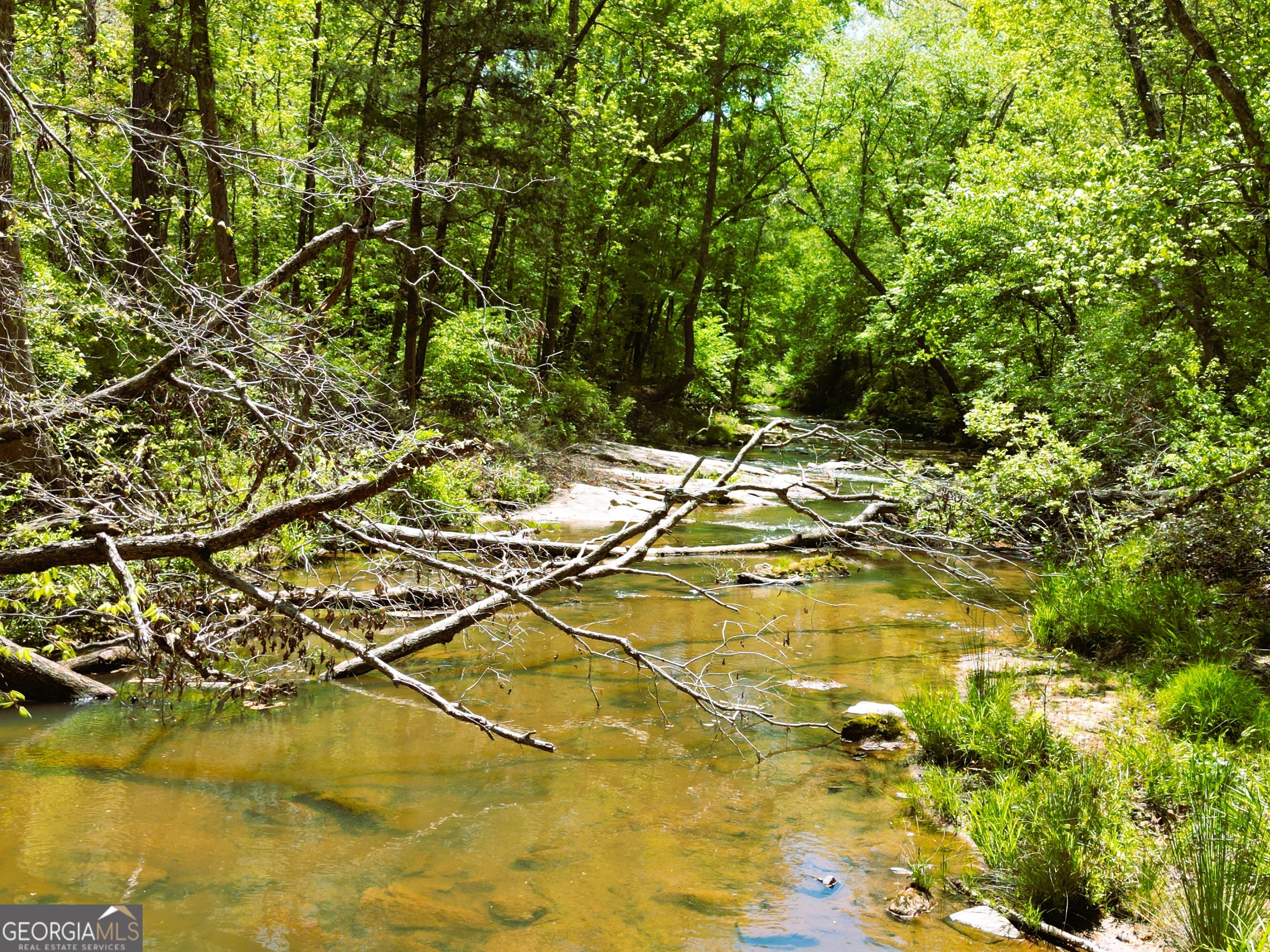0 Sand Hill Road Bowman GA 30624