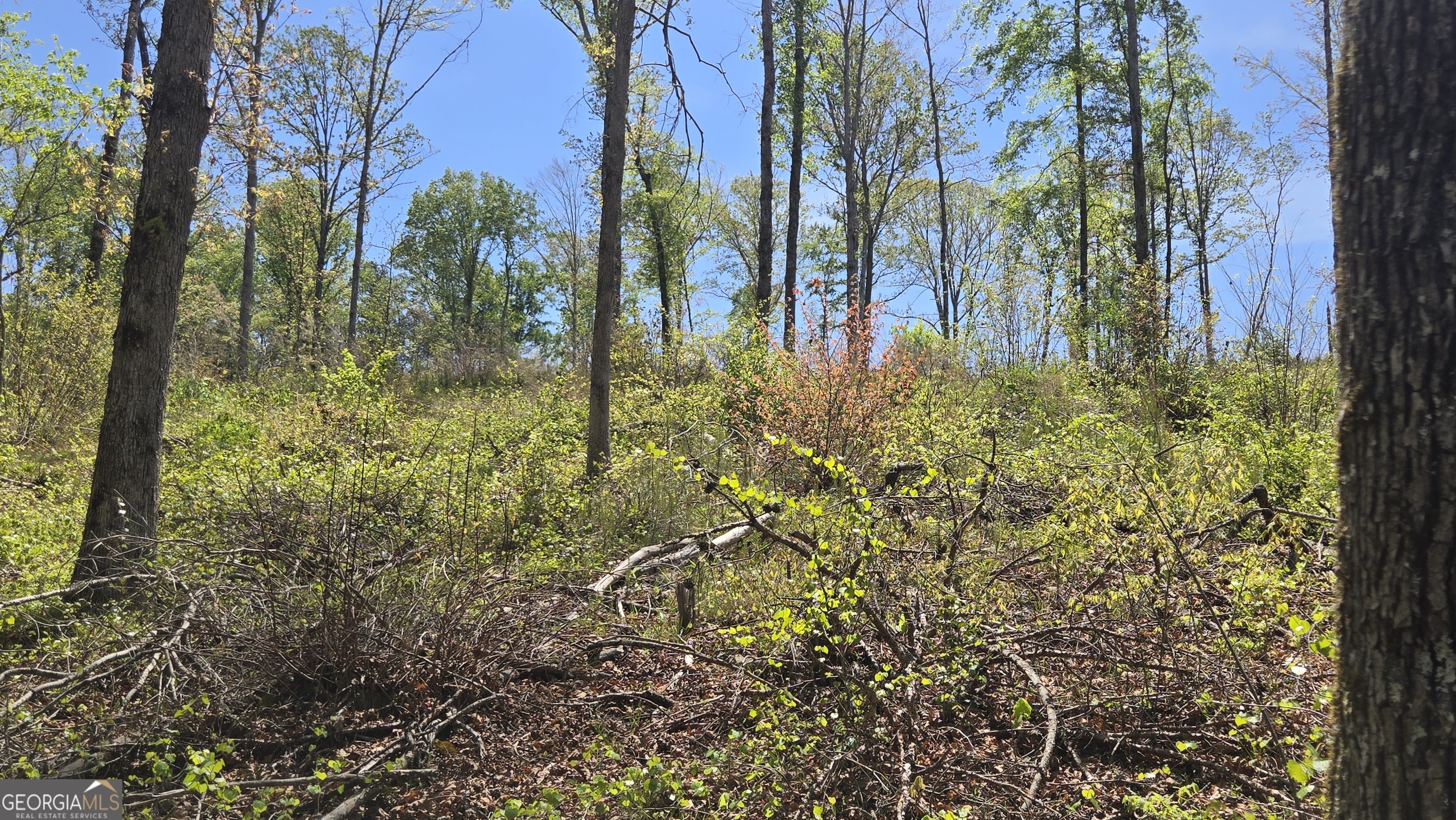 0 Sand Hill Road Bowman GA 30624
