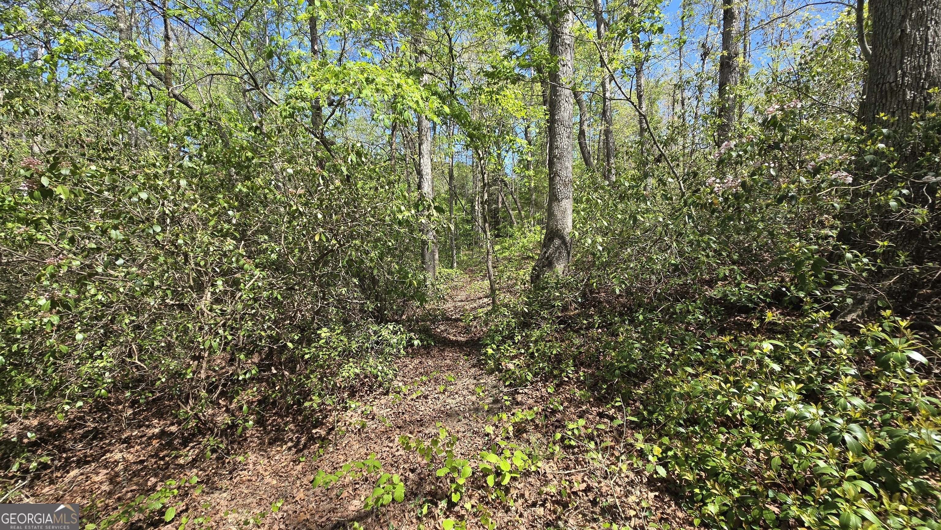 0 Sand Hill Road Bowman GA 30624