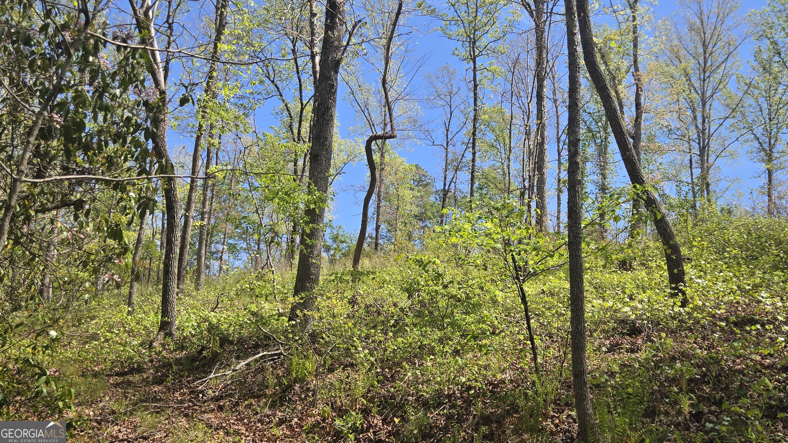 0 Sand Hill Road Bowman GA 30624