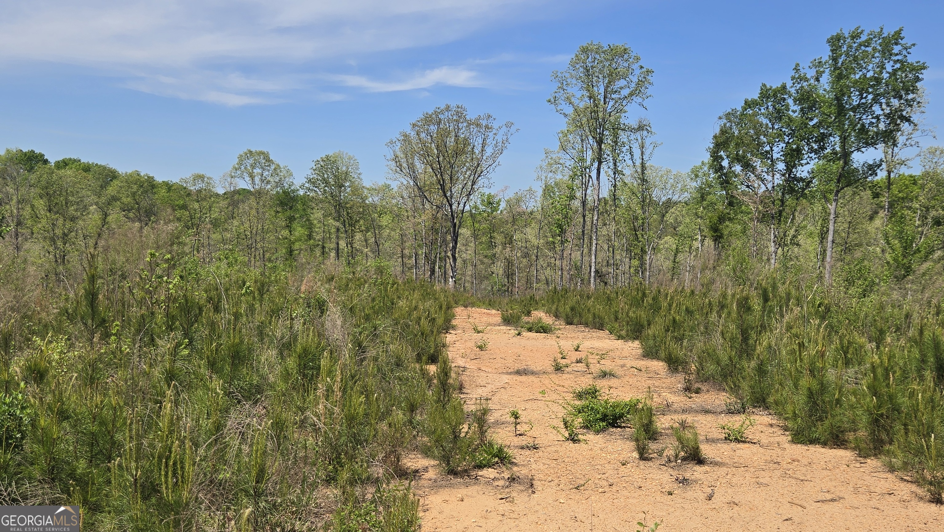 0 Sand Hill Road Bowman GA 30624