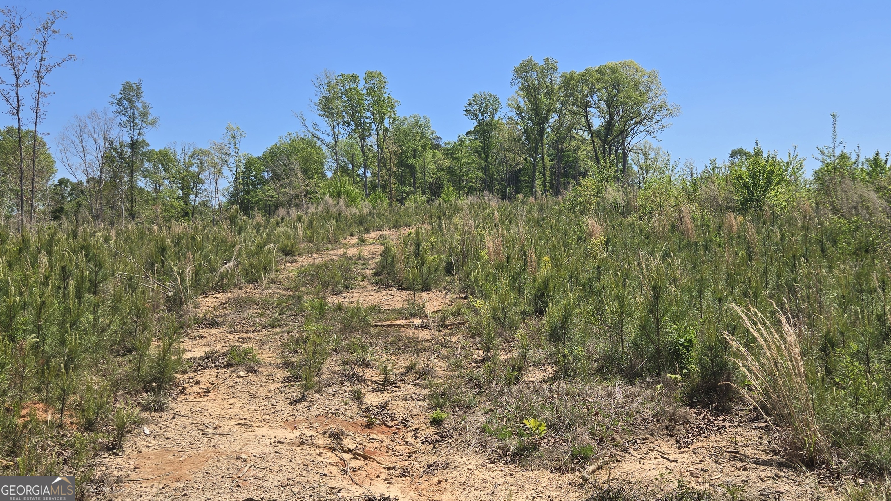0 Sand Hill Road Bowman GA 30624