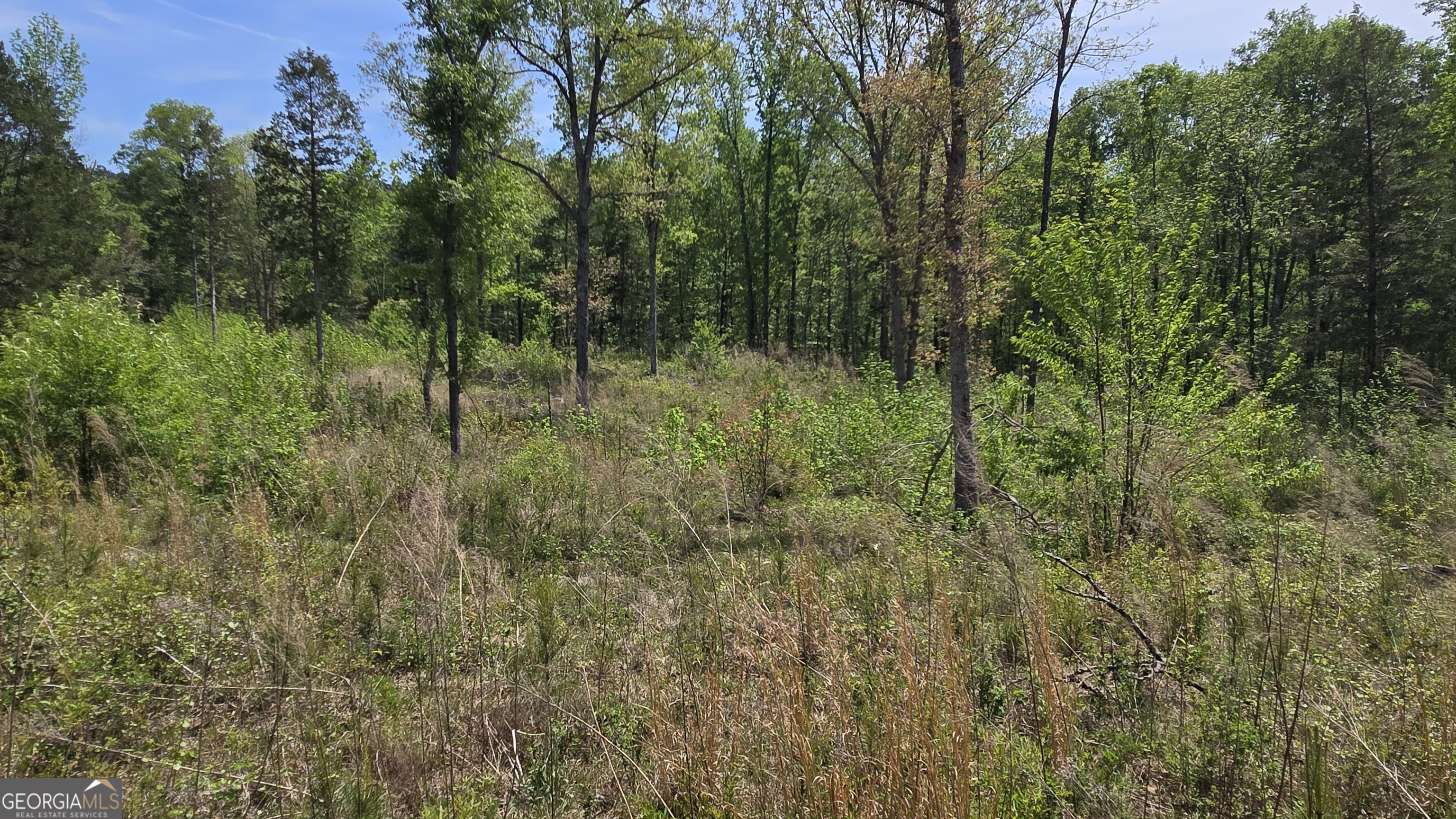 0 Sand Hill Road Bowman GA 30624