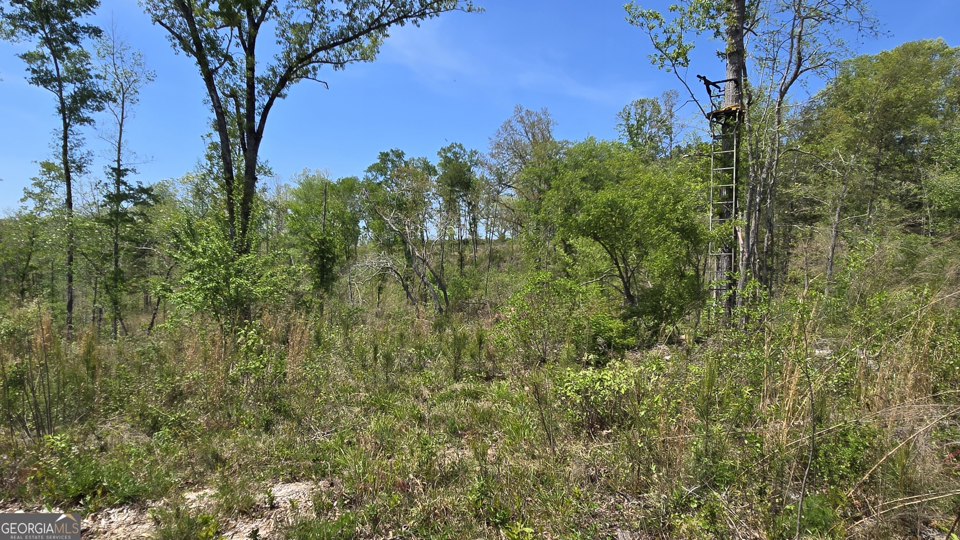 0 Sand Hill Road Bowman GA 30624