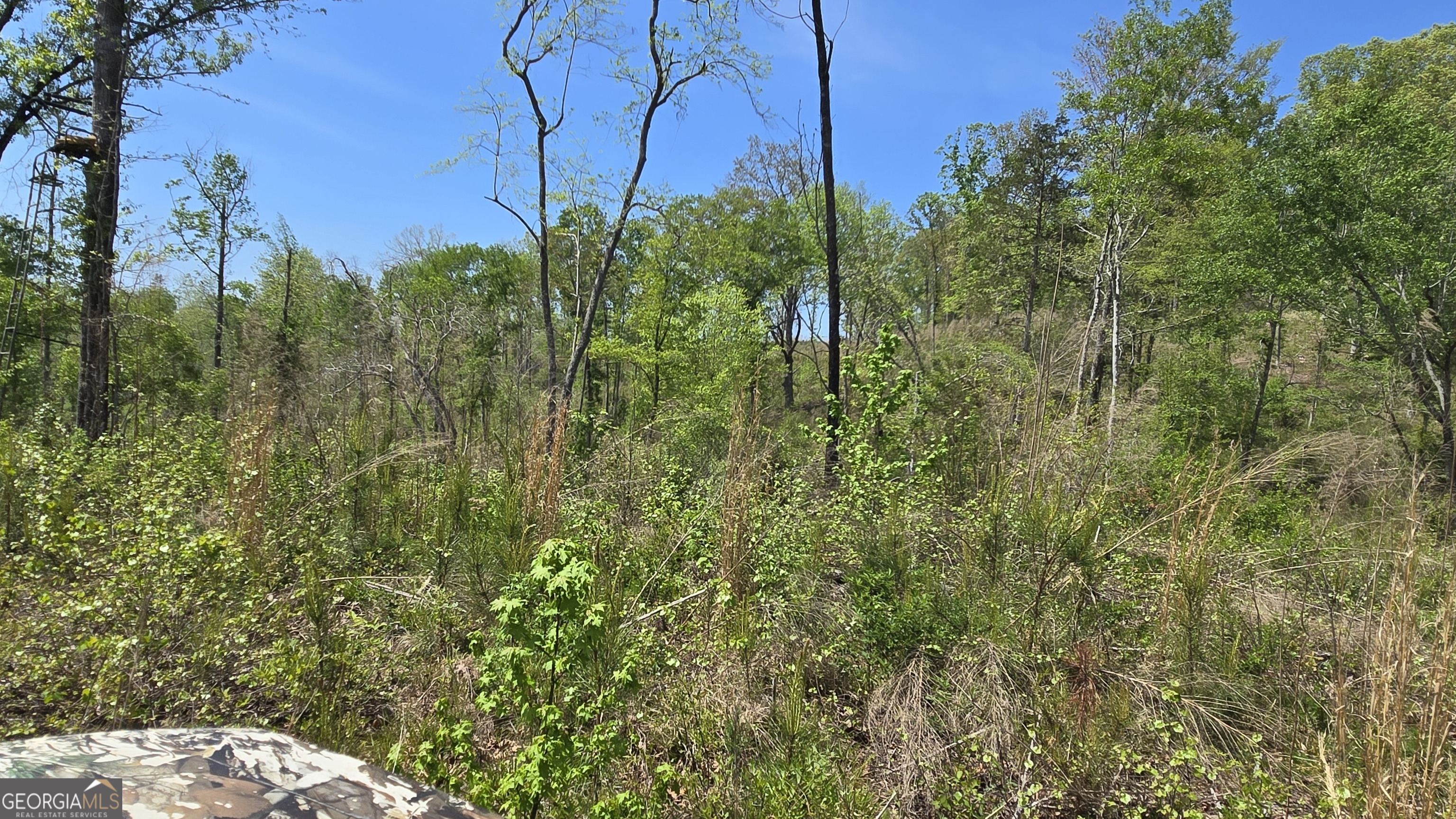 0 Sand Hill Road Bowman GA 30624