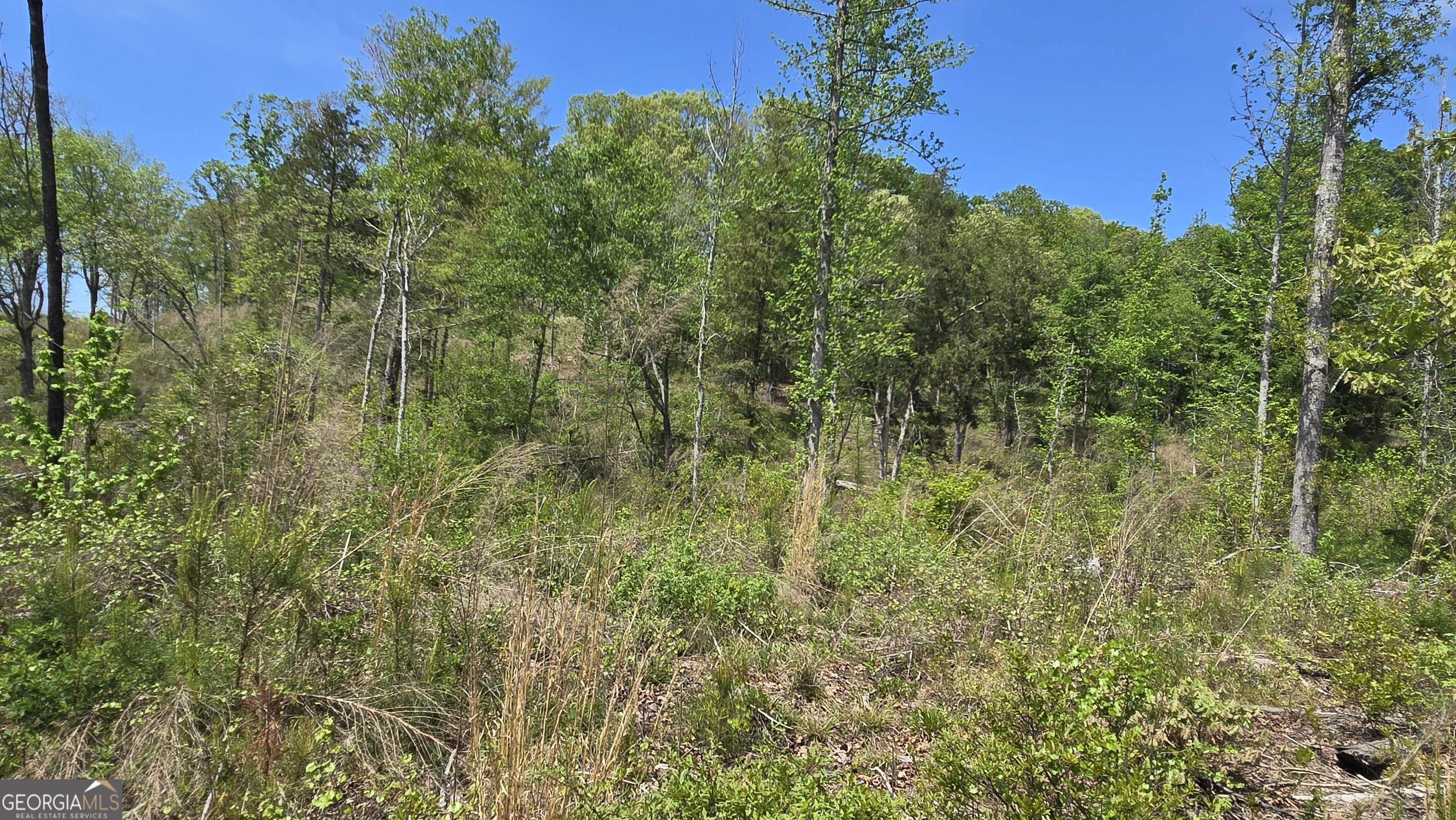 0 Sand Hill Road Bowman GA 30624