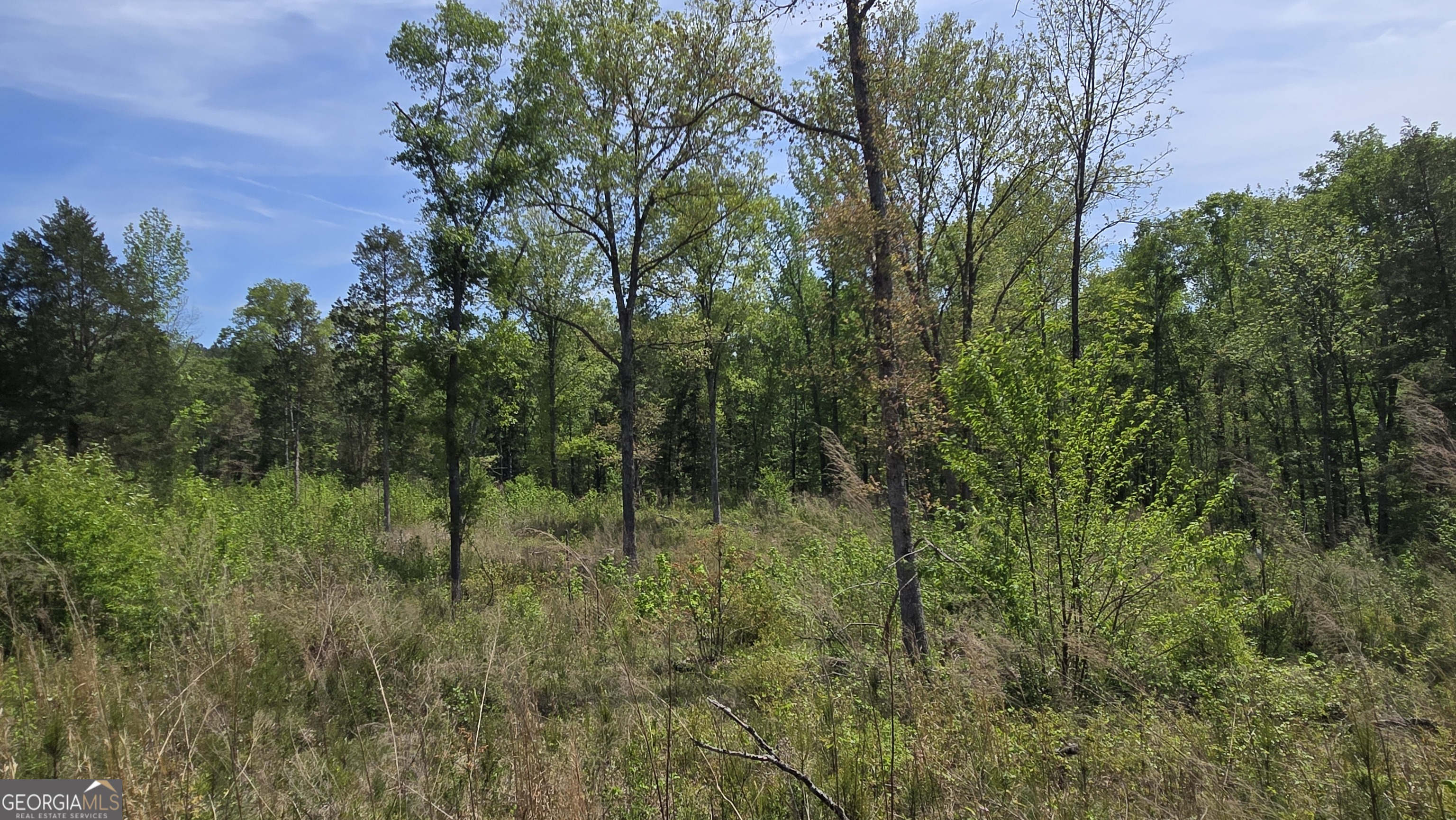 0 Sand Hill Road Bowman GA 30624